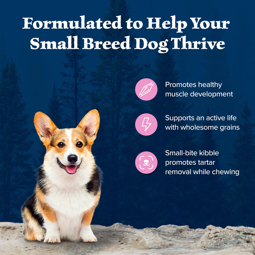 Blue Buffalo Wilderness High-Protein Adult Small Breed Dry Dog Food - Chicken, 13-lb.