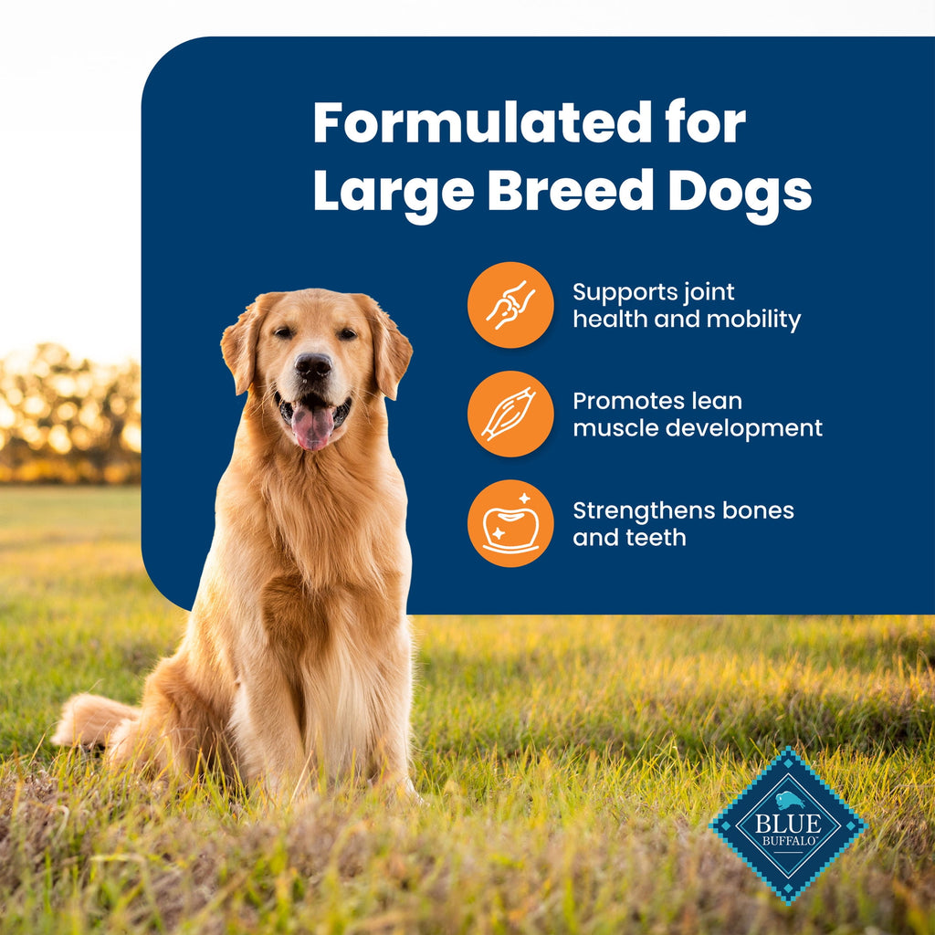 Blue Buffalo Life Protection Formula Large Breed Dry Dog Food - Chicken & Rice, 30-lb. Bag