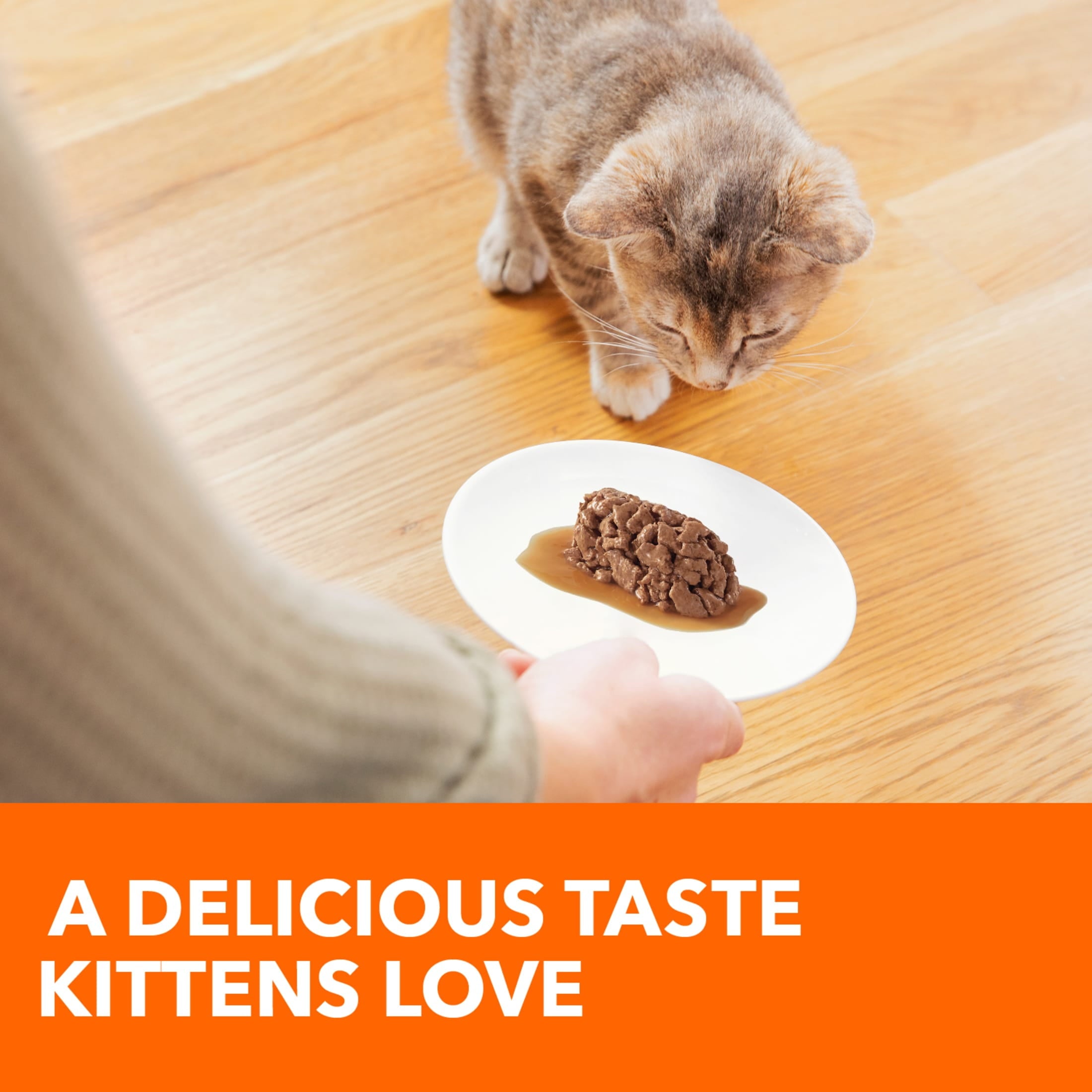 Iams Healthy Kitten Chicken Recipe Cuts In Gravy Wet Cat Food - 2.6 Oz Twin-Pack Tray