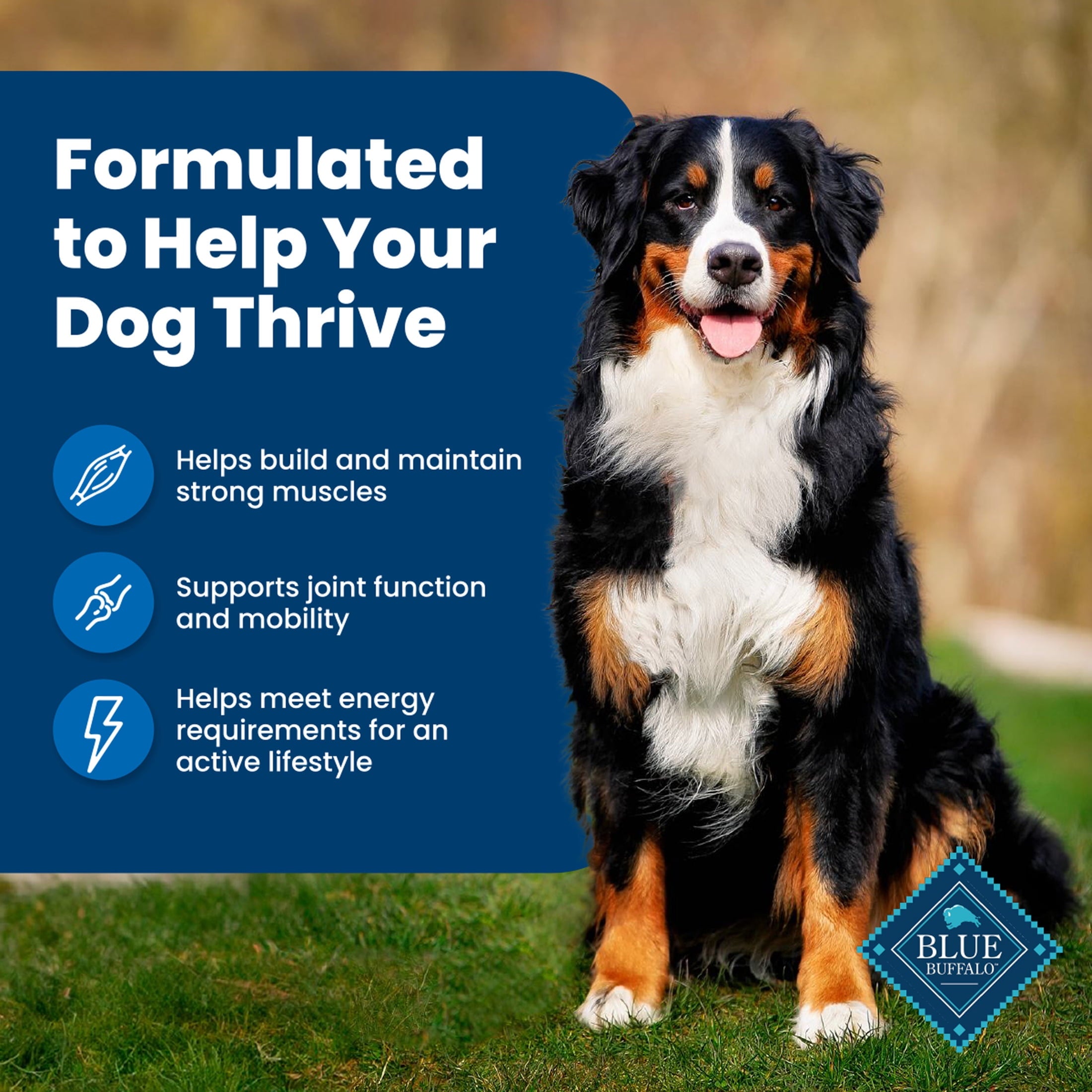 Blue Buffalo Life Protection Formula Adult Dry Dog Food - Chicken & Brown Rice, 30 lbs.