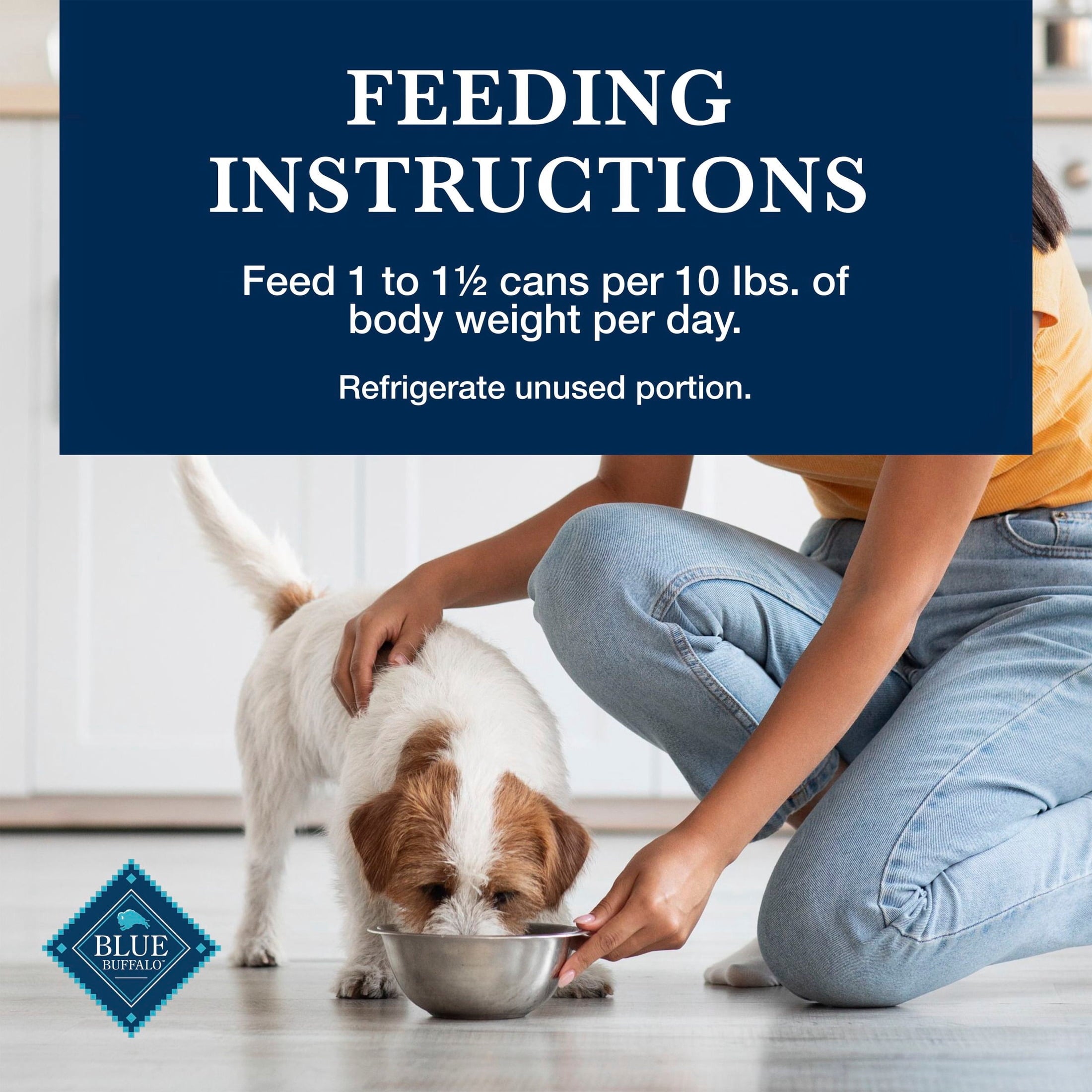 Blue Buffalo Homestyle Recipe Natural Adult Wet Dog Food - Chicken, 12.5oz. Can - 12-Pack