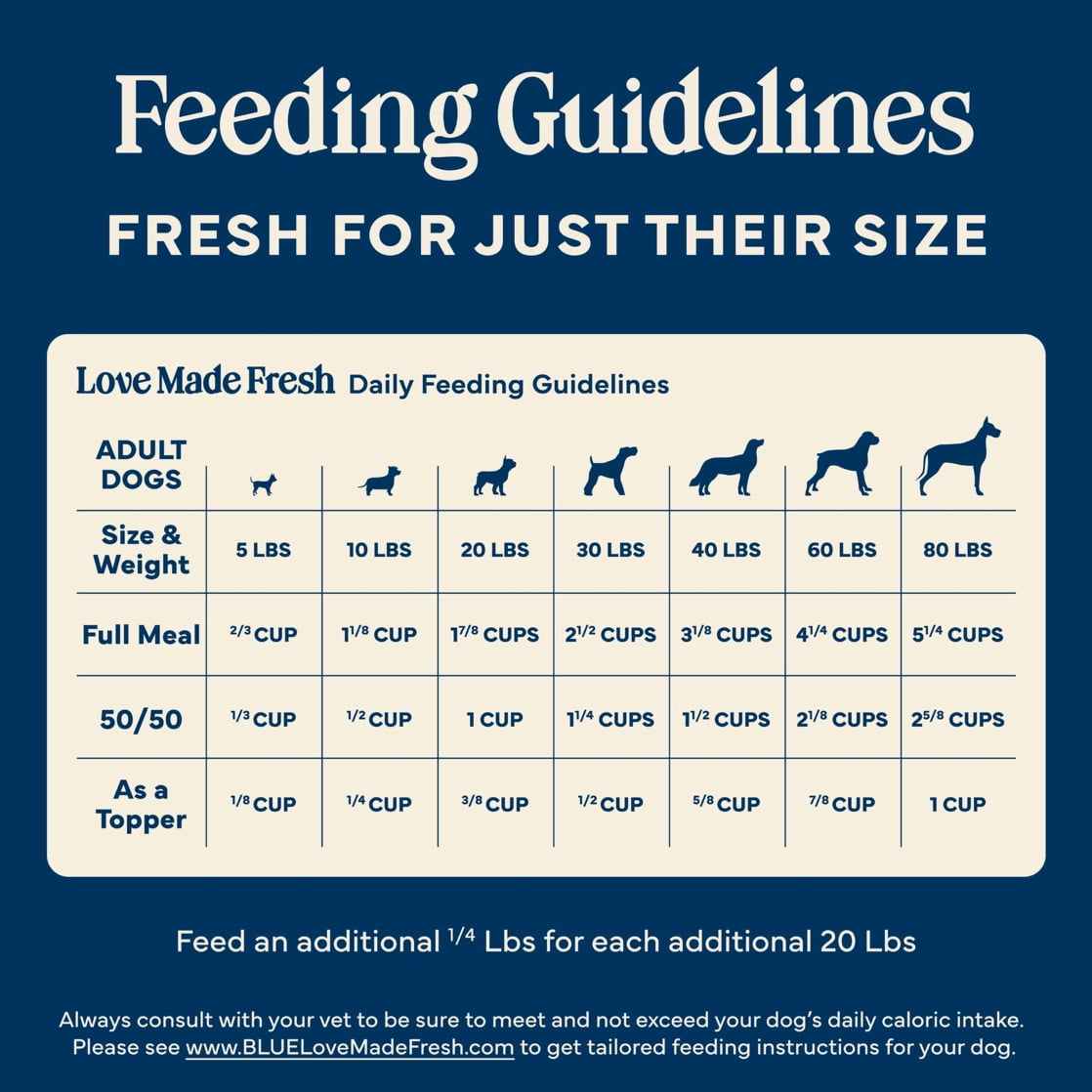 Blue Buffalo Love Made Fresh Dog Food - Refrigerated, Chunky Beef Stew, 1-lb Tub