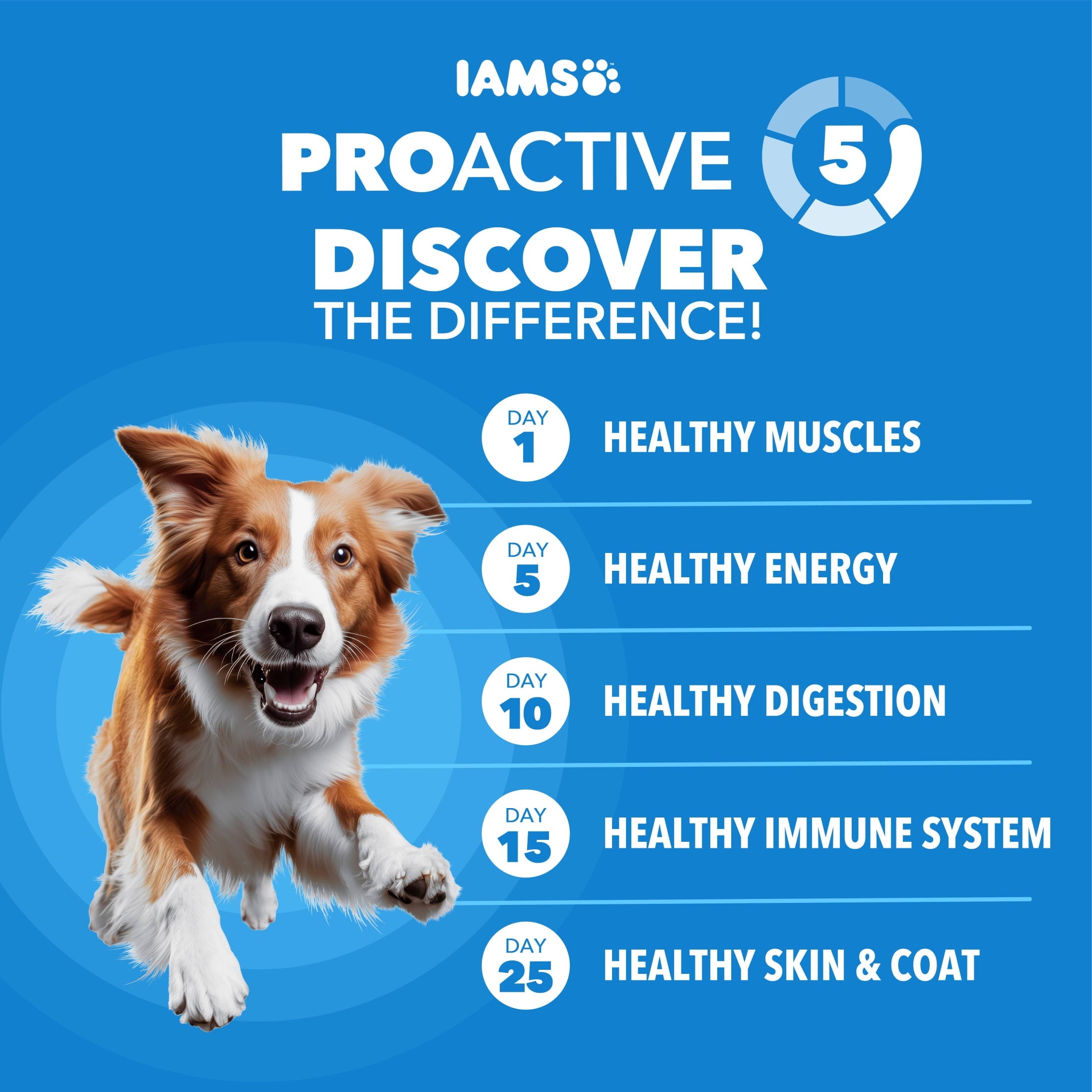 IAMS Proactive Health Adult Dry Dog Food Weight Control Premium Dry Nutrition 29.1 lb. Bag