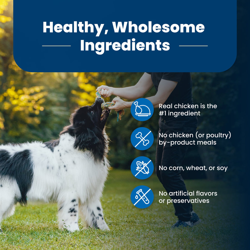 Blue Buffalo Life Protection Formula Adult Dry Dog Food - Chicken & Brown Rice, 30 lbs.