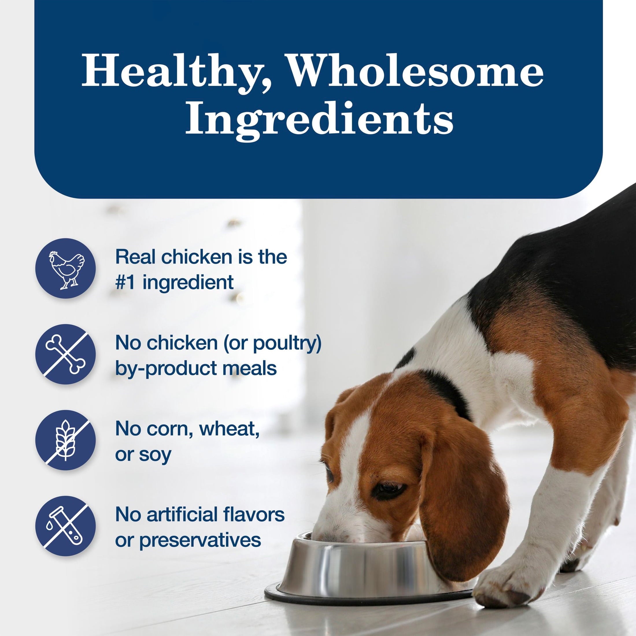 Blue Buffalo Homestyle Recipe Natural Adult Wet Dog Food - Chicken, 12.5oz. Can - 12-Pack