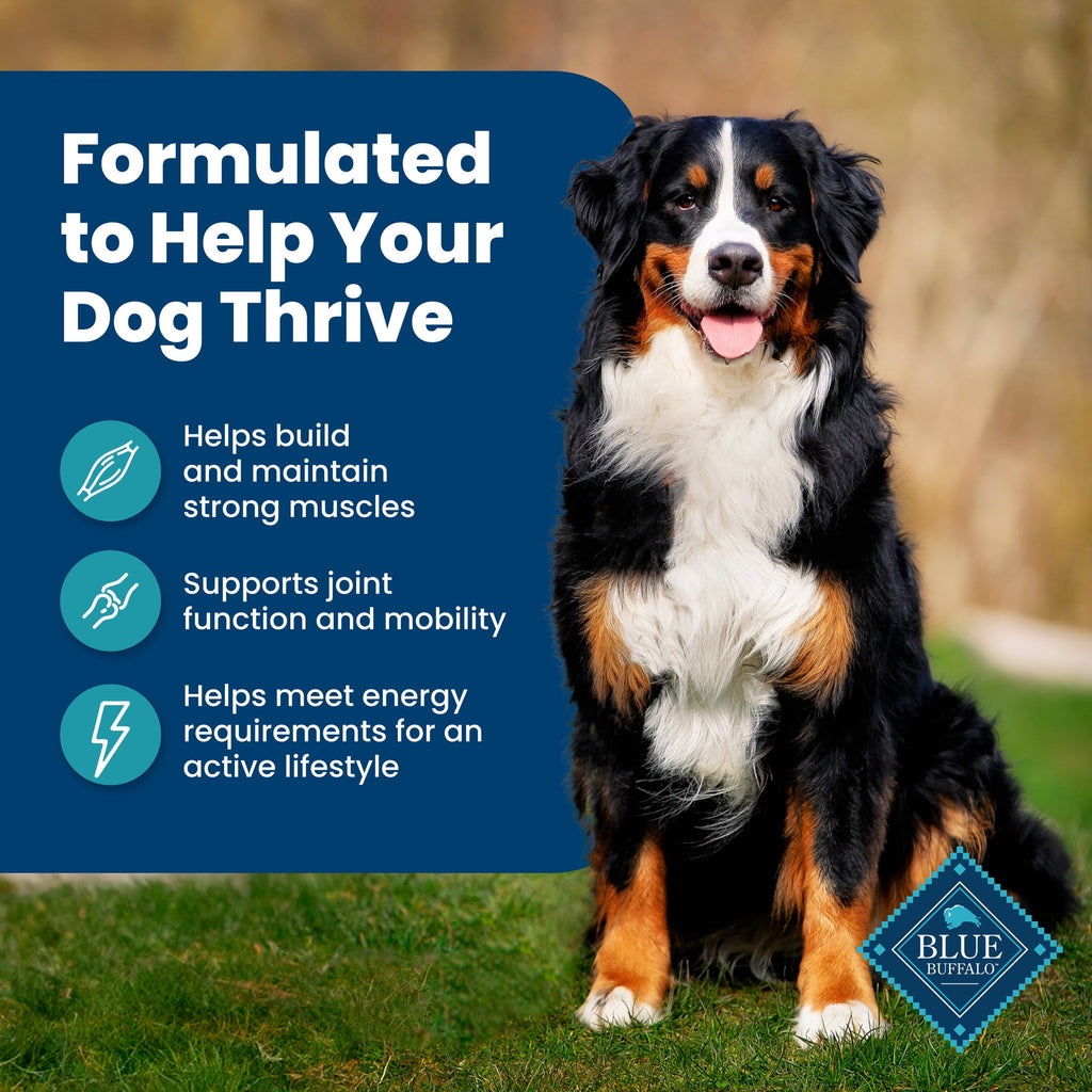 Blue Buffalo Life Protection Formula Natural Dry Dog Food - Fish & Brown Rice, 15-lb. Bag