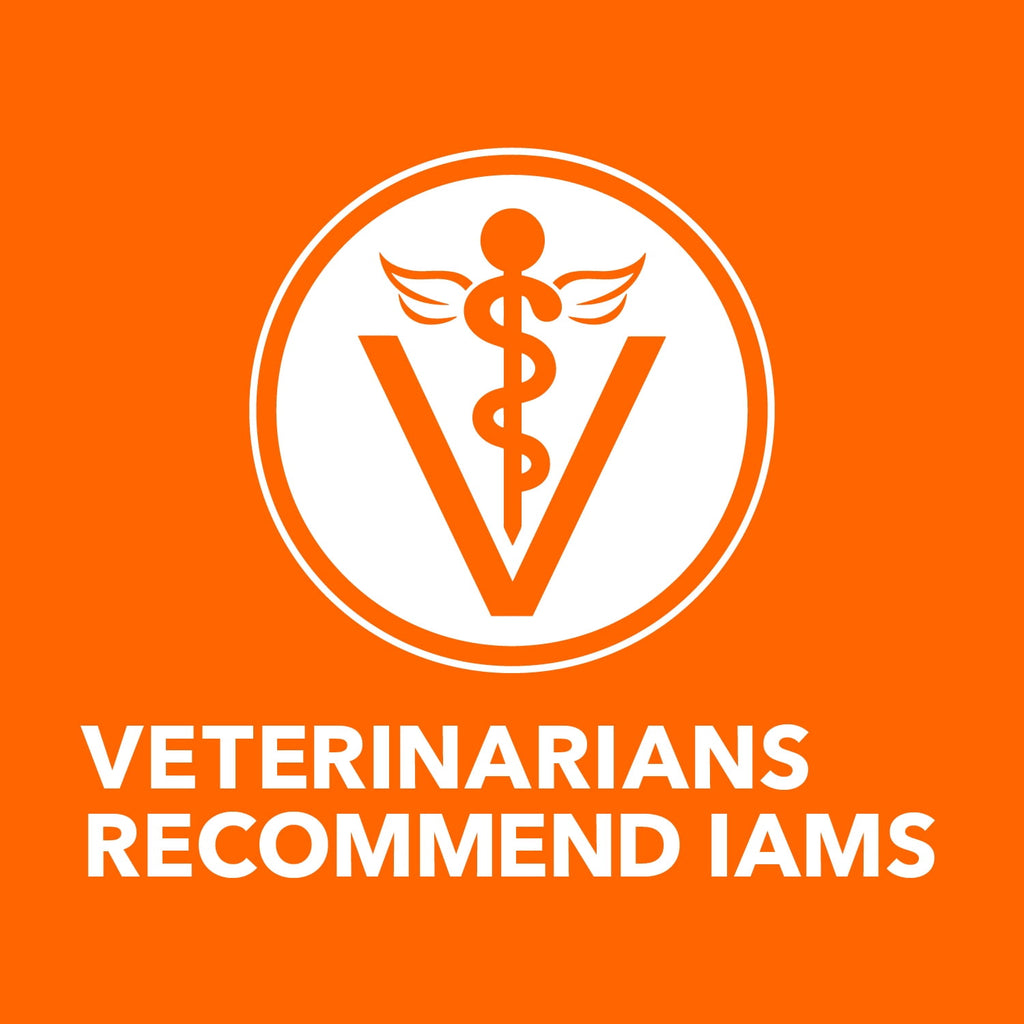 Iams Proactive Health Adult Hairball Care with Chicken & Salmon Dry Cat Food - 3.5 lb