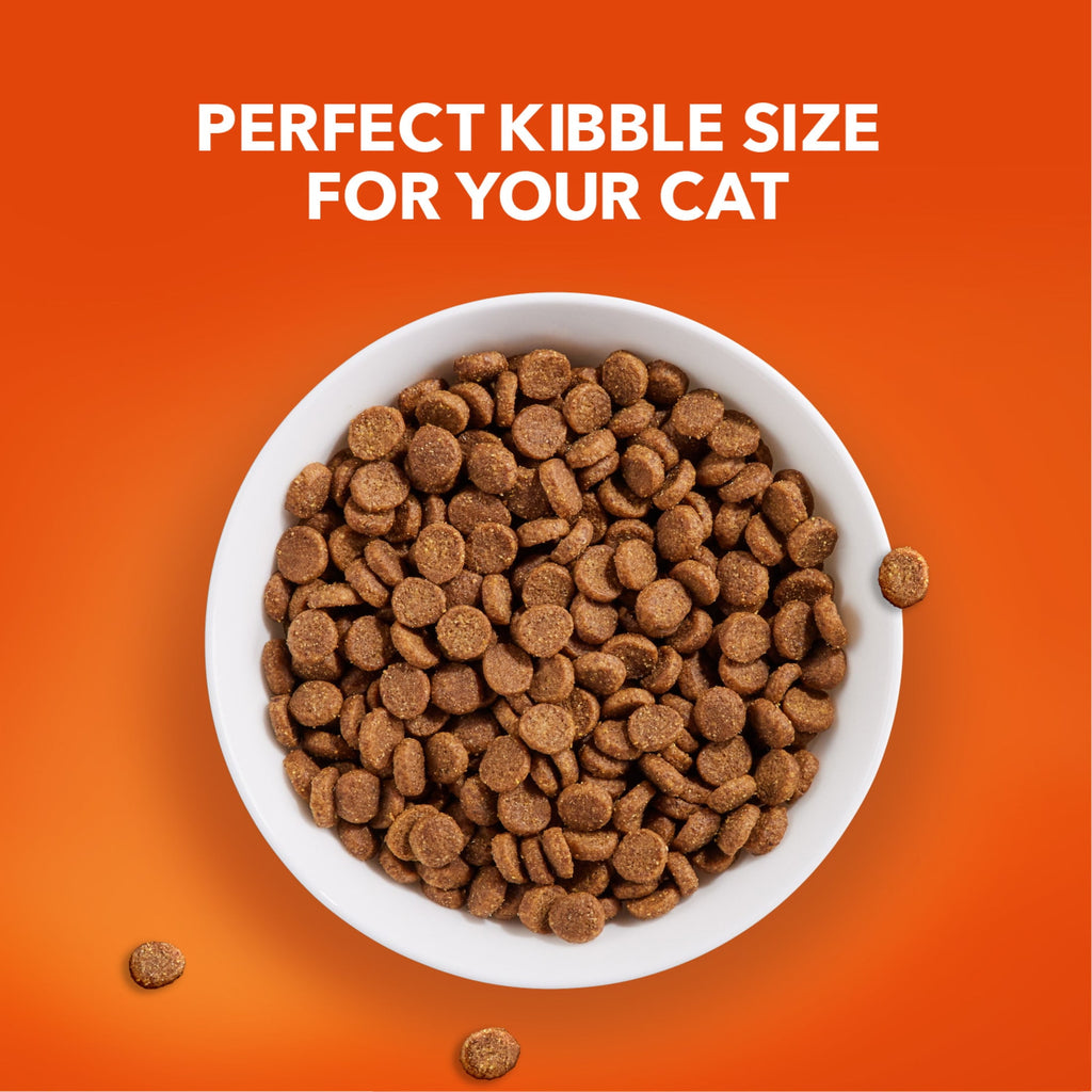 Iams Proactive Health Chicken Dry Cat Food For Senior Cats - 16 Lb Bag