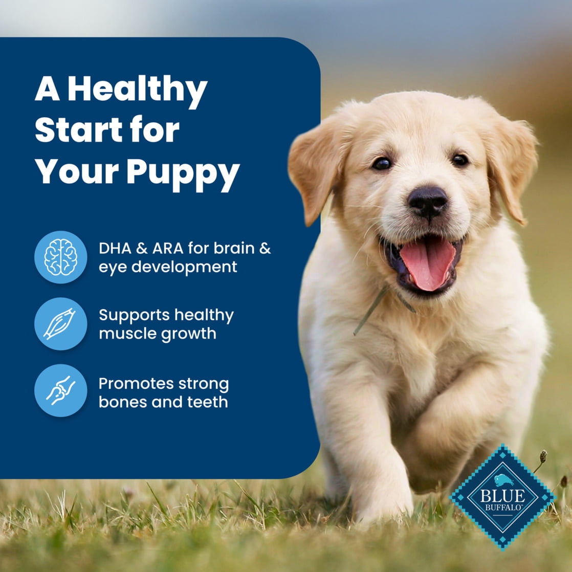 Blue Buffalo Life Protection Formula Puppy Dry Dog Food - Chicken & Brown Rice, 30 lbs