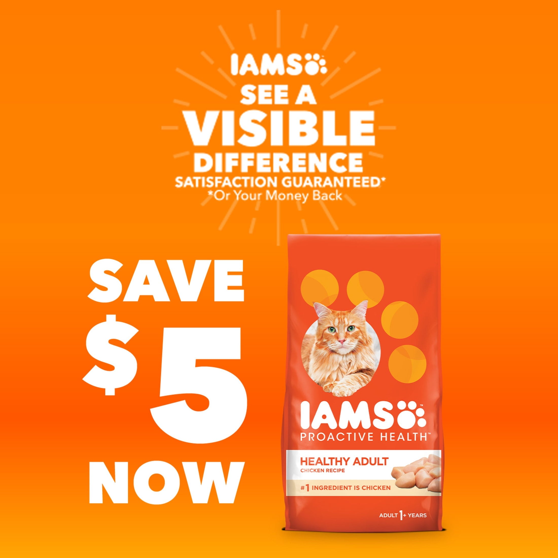 Iams Proactive Health Turkey Dry Cat Food - 6 Lb Bag