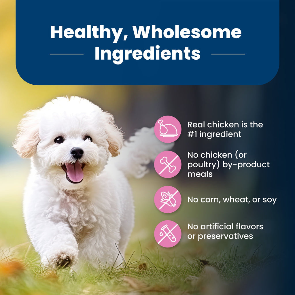 Blue Buffalo Life Protection Formula Small Breed Dry Dog Food Chicken & Brown Rice 5 lbs.