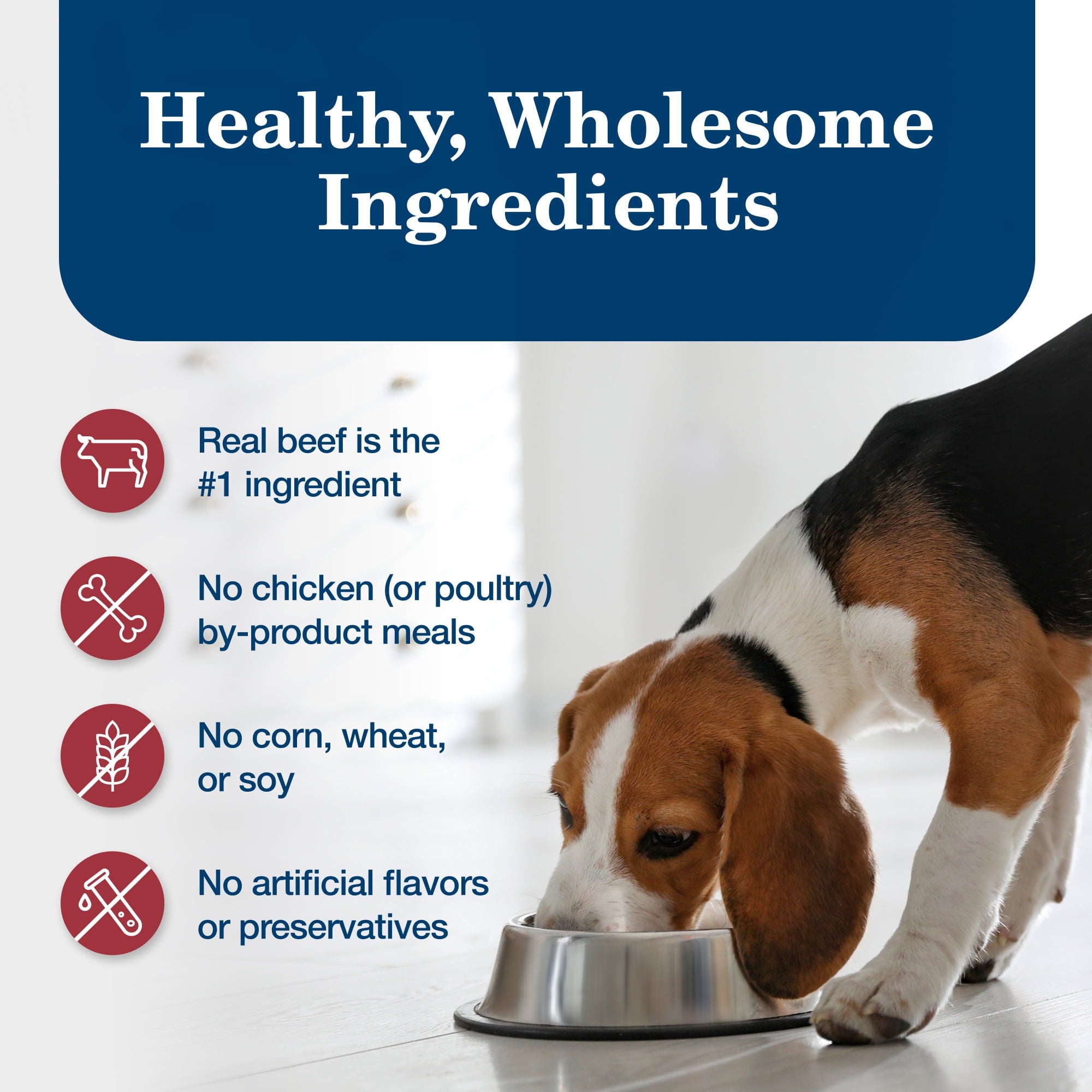 Blue Buffalo Homestyle Recipe Adult Wet Dog Food - Beef Dinner, 12.5-oz. Can - 6-Pack