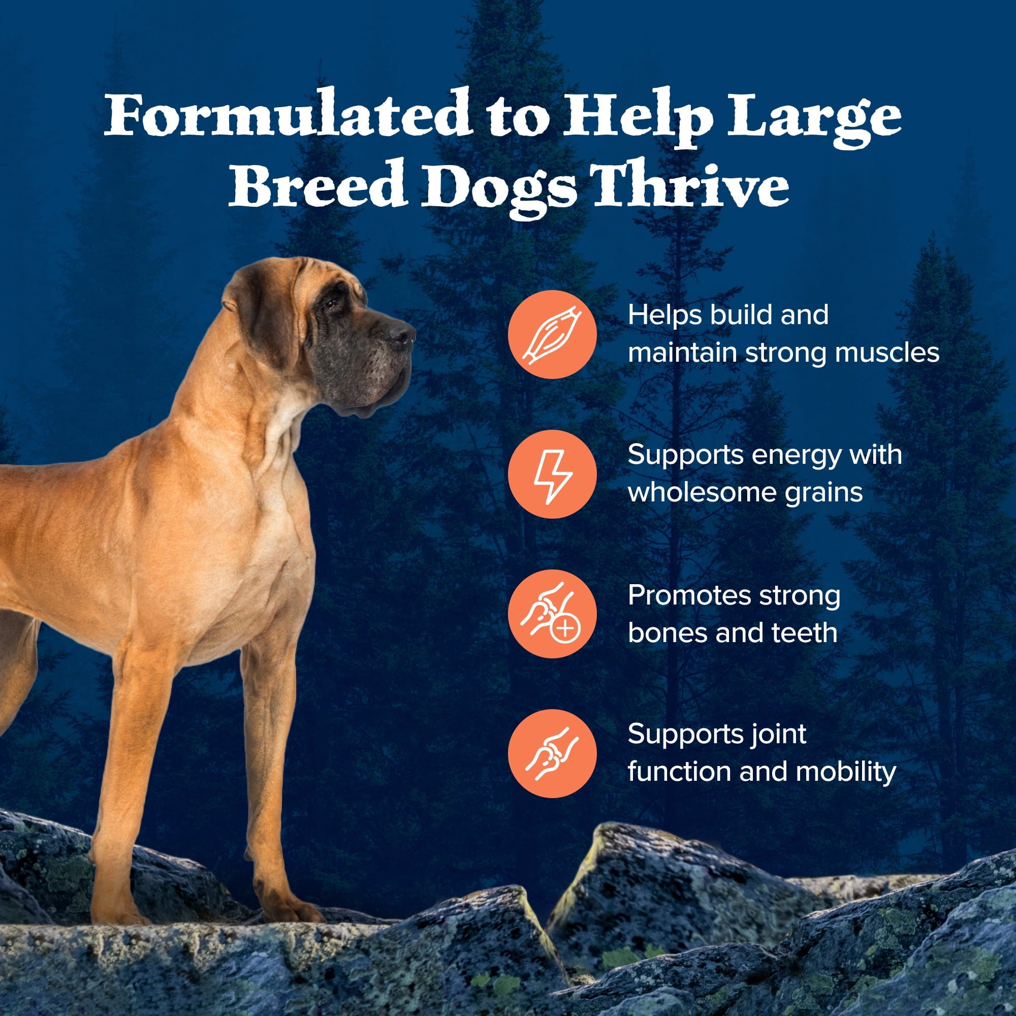 Blue Buffalo Wilderness Large Breed Dry Dog Food Plus Wholesome Grains - Chicken, 24 lbs.
