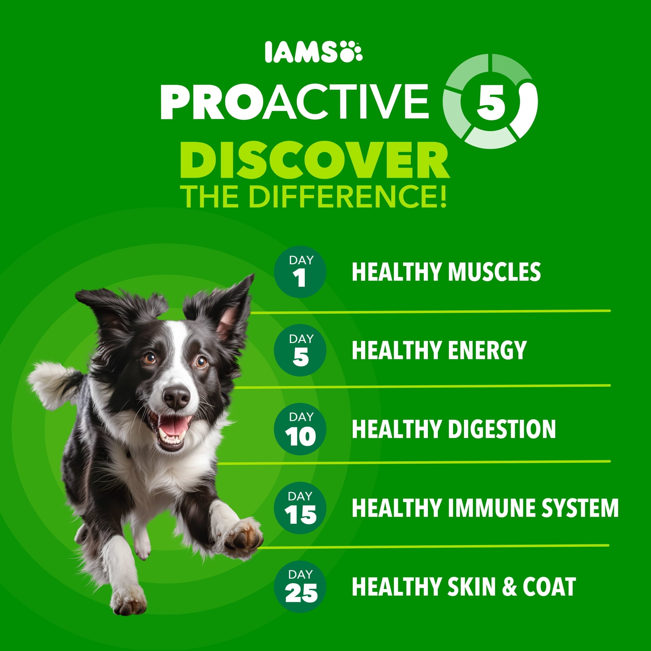 IAMS Proactive Health Dry Dog Food - Adult Dog Food Dry Recipe, Beef & Rice Recipe, 15 lb. Bag