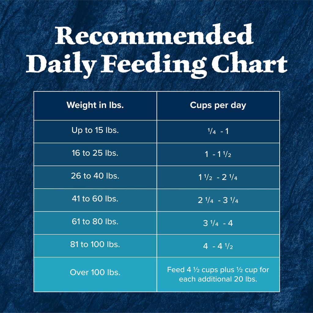 Blue Buffalo Wilderness Natural High-Protein Adult Dog Dry Food - Salmon Recipe, 13-lb.