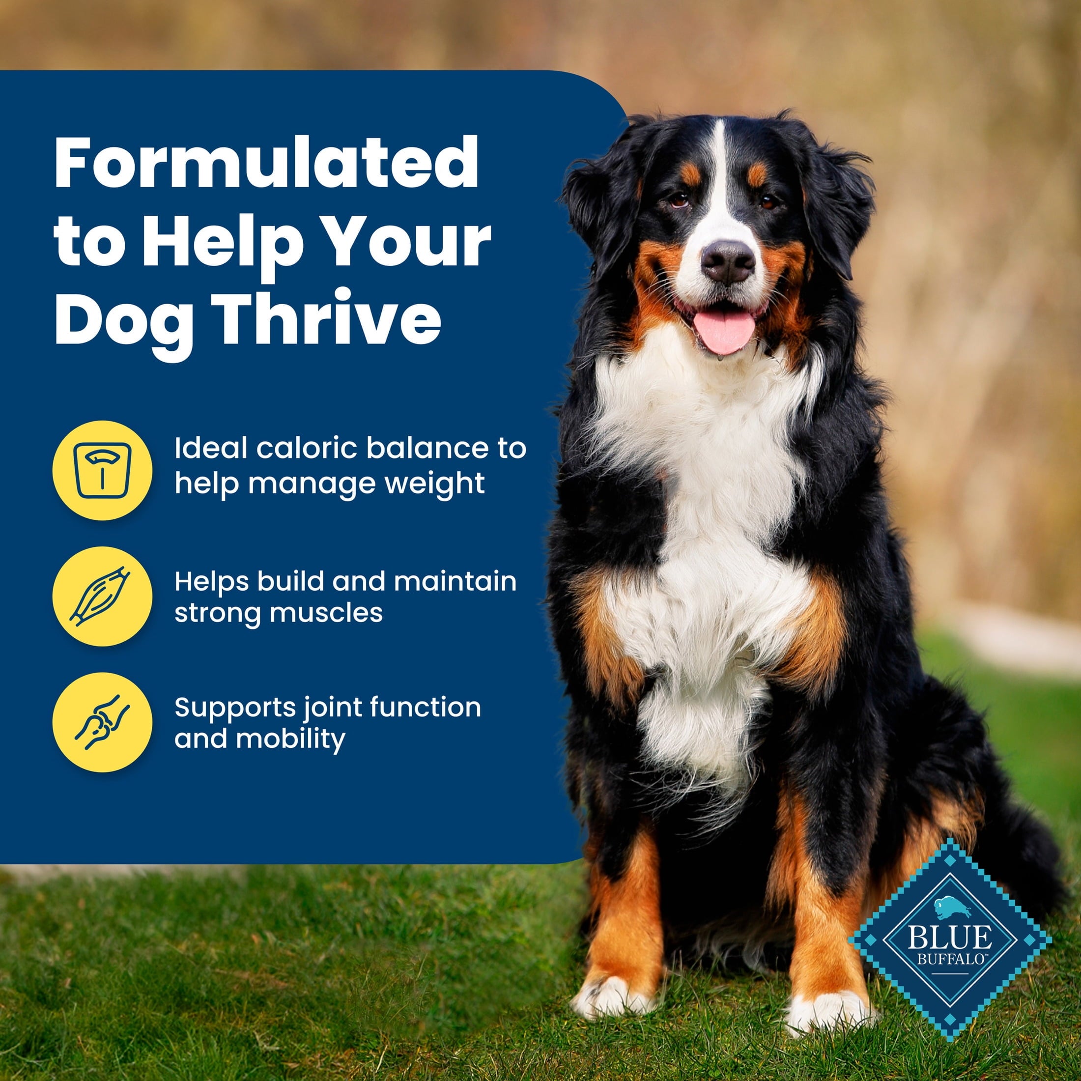 Blue Buffalo Life Protection Formula Chicken Adult Healthy Weight Dry Dog Food 30 lbs.