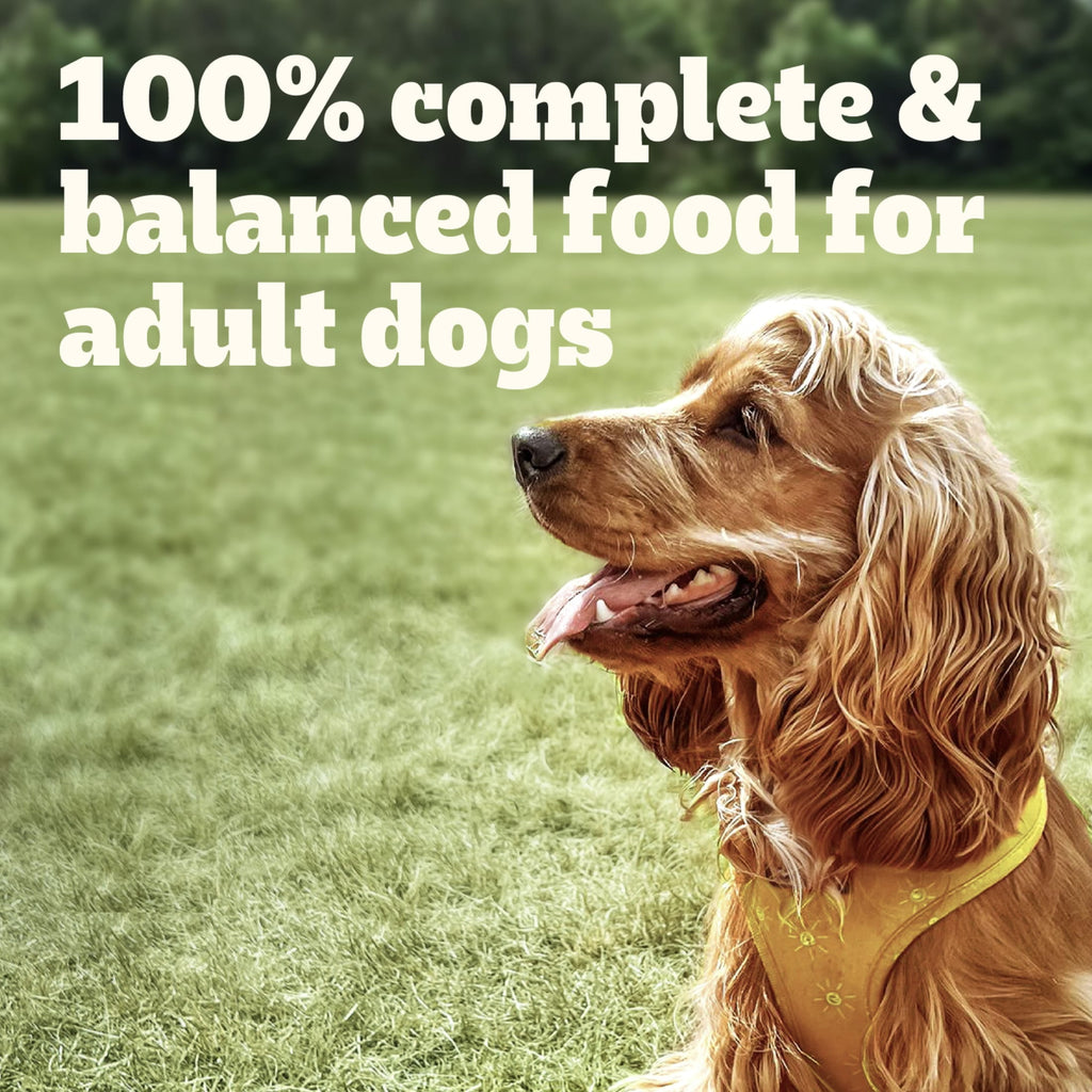 Pedigree Chopped Ground Dinner Beef - Bacon & Cheese Flavors Adult Soft Wet Dog Food, 3.5 Oz Pouches