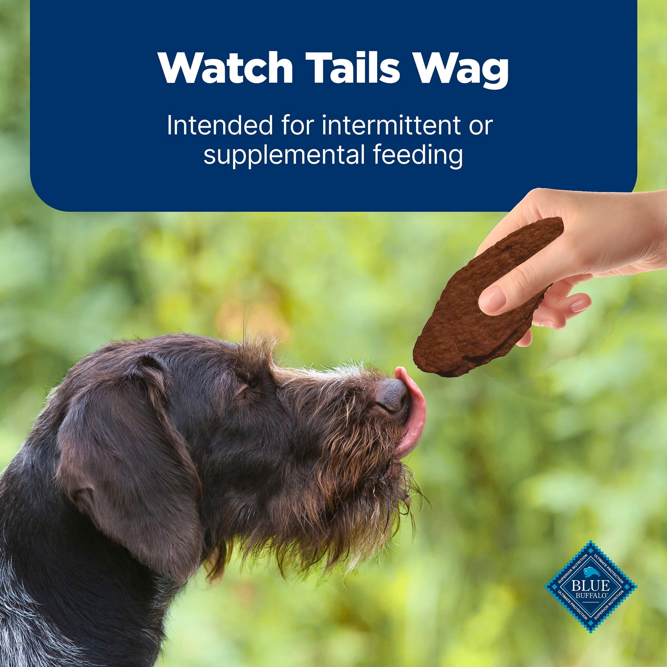 Blue Buffalo Nudges Jerky Cuts - Natural Dog Treats, Steak Jerky, 28oz Bag