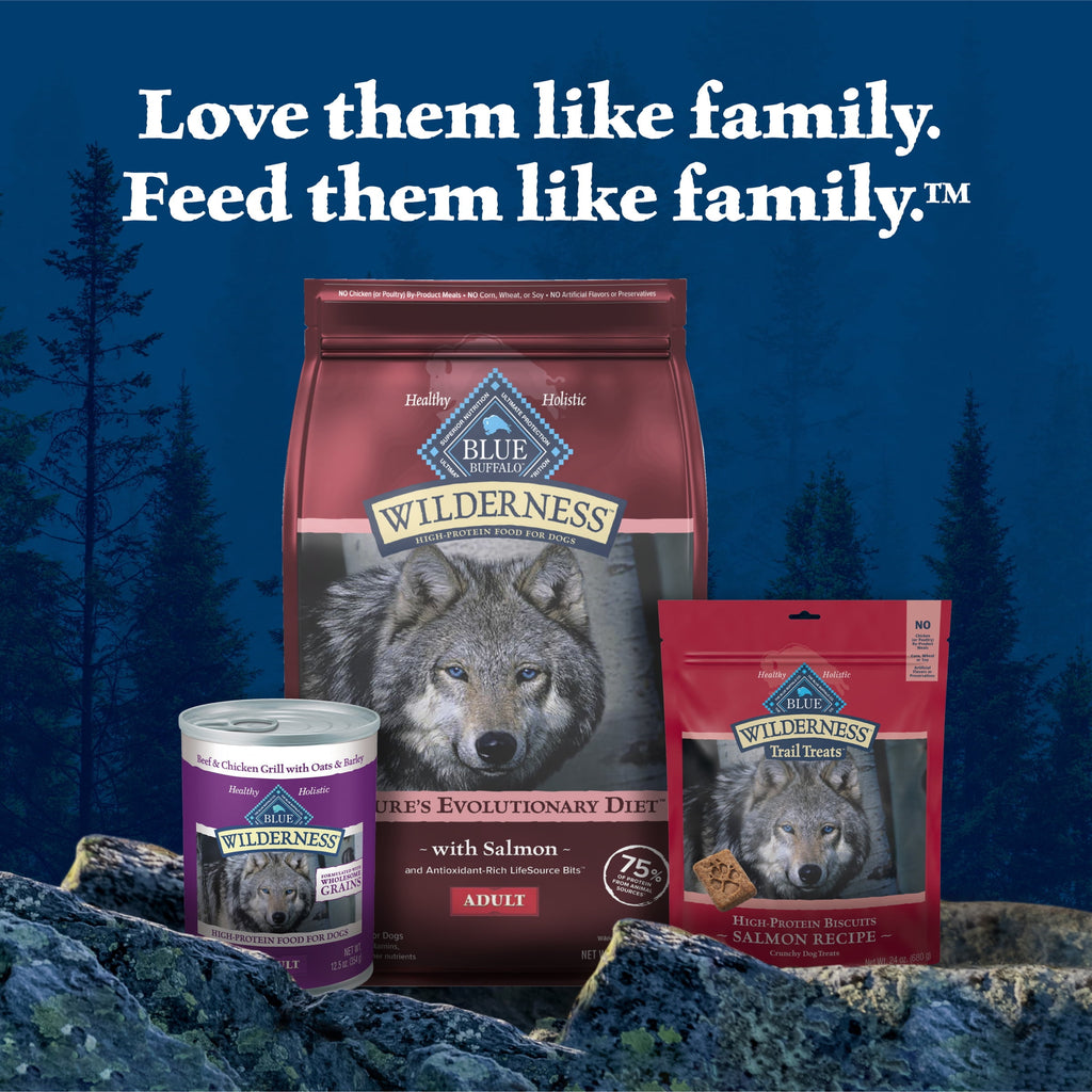 Blue Buffalo Wilderness Natural High-Protein Adult Dog Dry Food - Salmon Recipe, 13-lb.