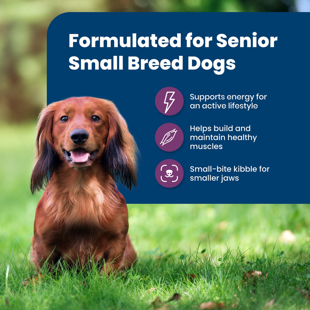 Blue Buffalo Life Protection Formula Small Breed Senior Dry Dog Food - Chicken & Rice, 5lb. Bag