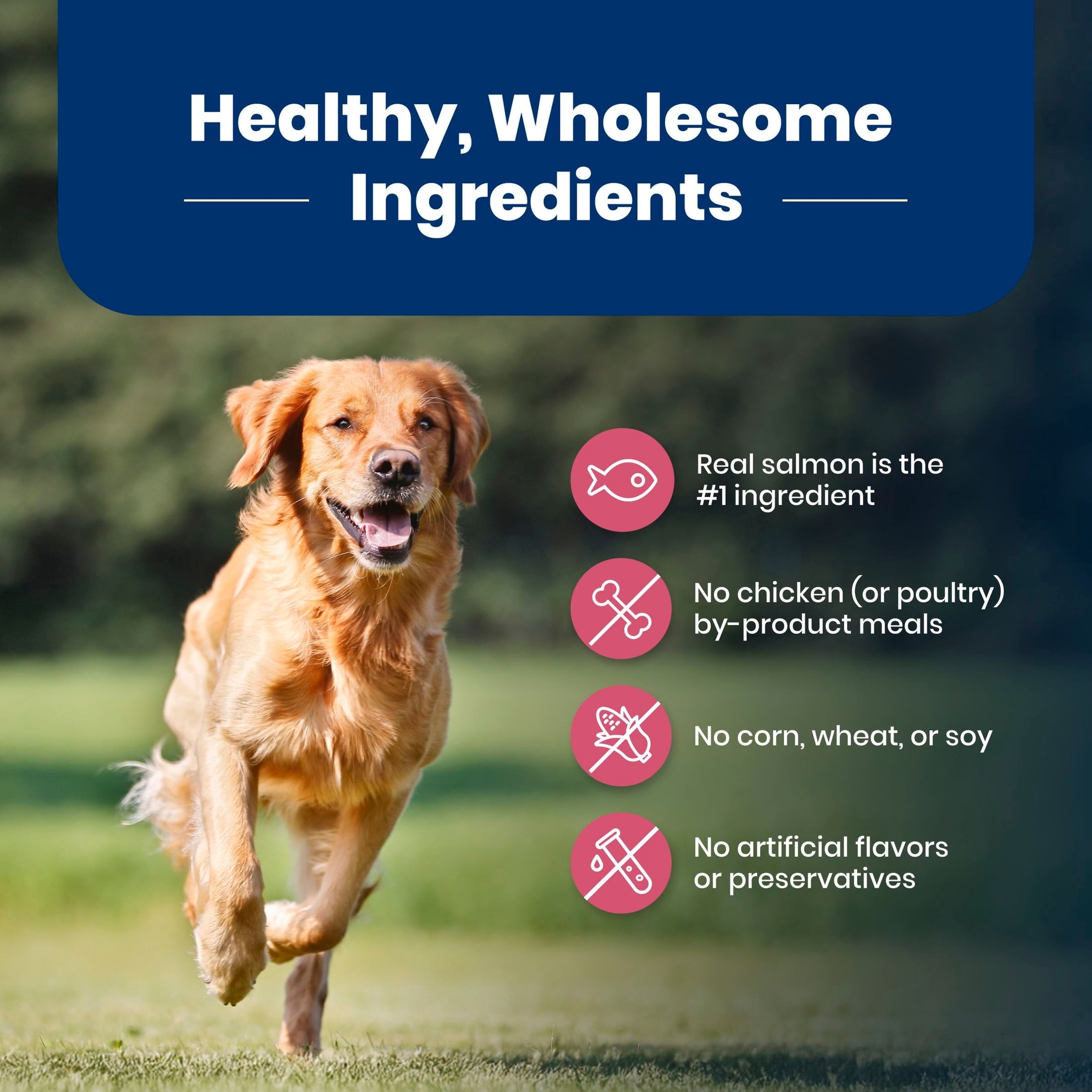 Blue Buffalo Life Protection Formula Adult Dry Dog Food - Salmon, Chicken Free, 30lbs