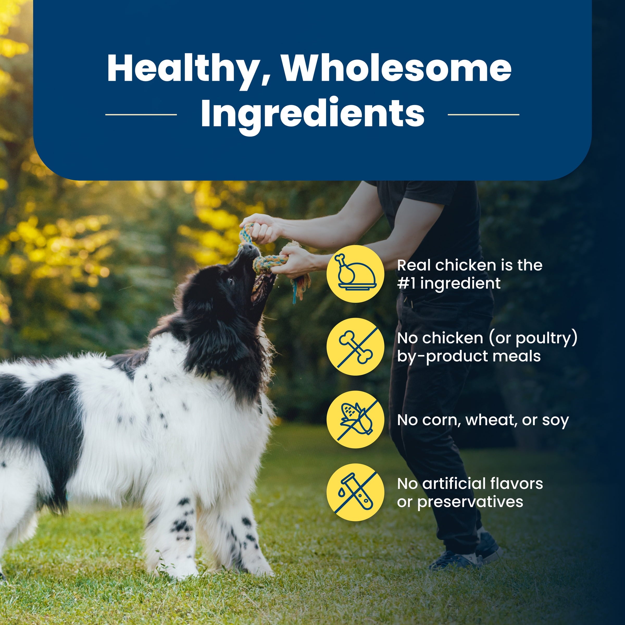 Blue Buffalo Life Protection Formula Healthy Weight Adult Dry Dog Food - Chicken, 15-lb Bag