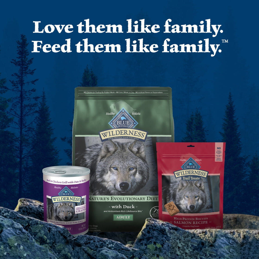 Blue Buffalo Wilderness Natural High-Protein Dry Food for Adult Dogs - Duck, 13-lb bag.