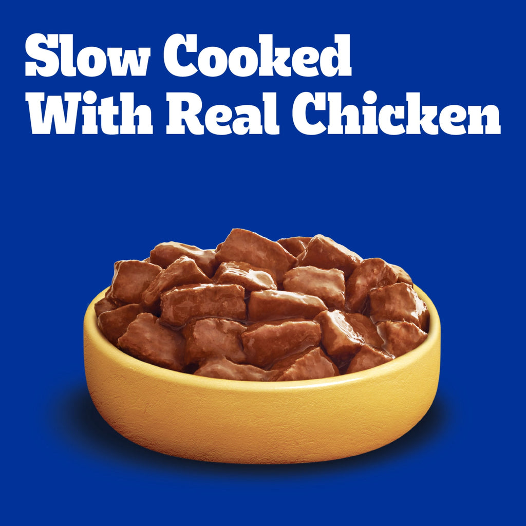 Pedigree High Protein Chicken & Turkey Flavor In Gravy Adult Soft Wet Dog Food - (12) 13.2 oz Cans - 4-Pack