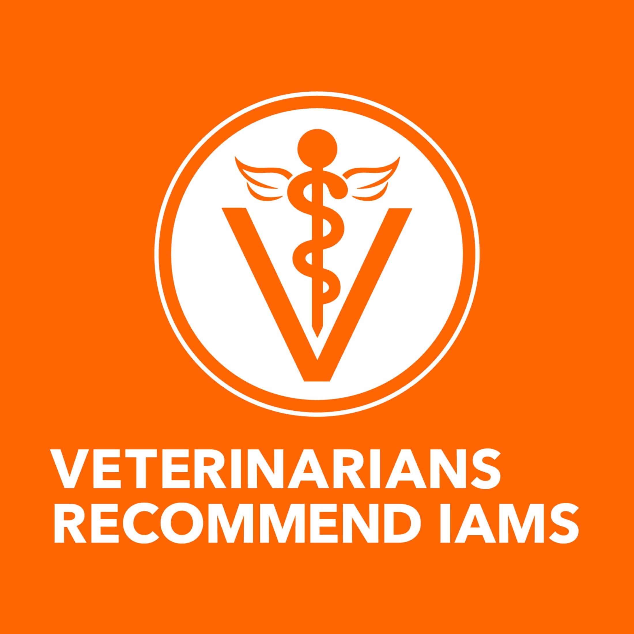 Iams Proactive Health Turkey Dry Cat Food - 6 Lb Bag