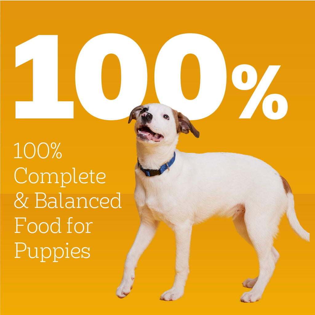 Pedigree Puppy Food Morsels in Sauce - Wet Dog Food Pouches, Beef Flavor, 3.5 oz. Pouches - 4-Pack