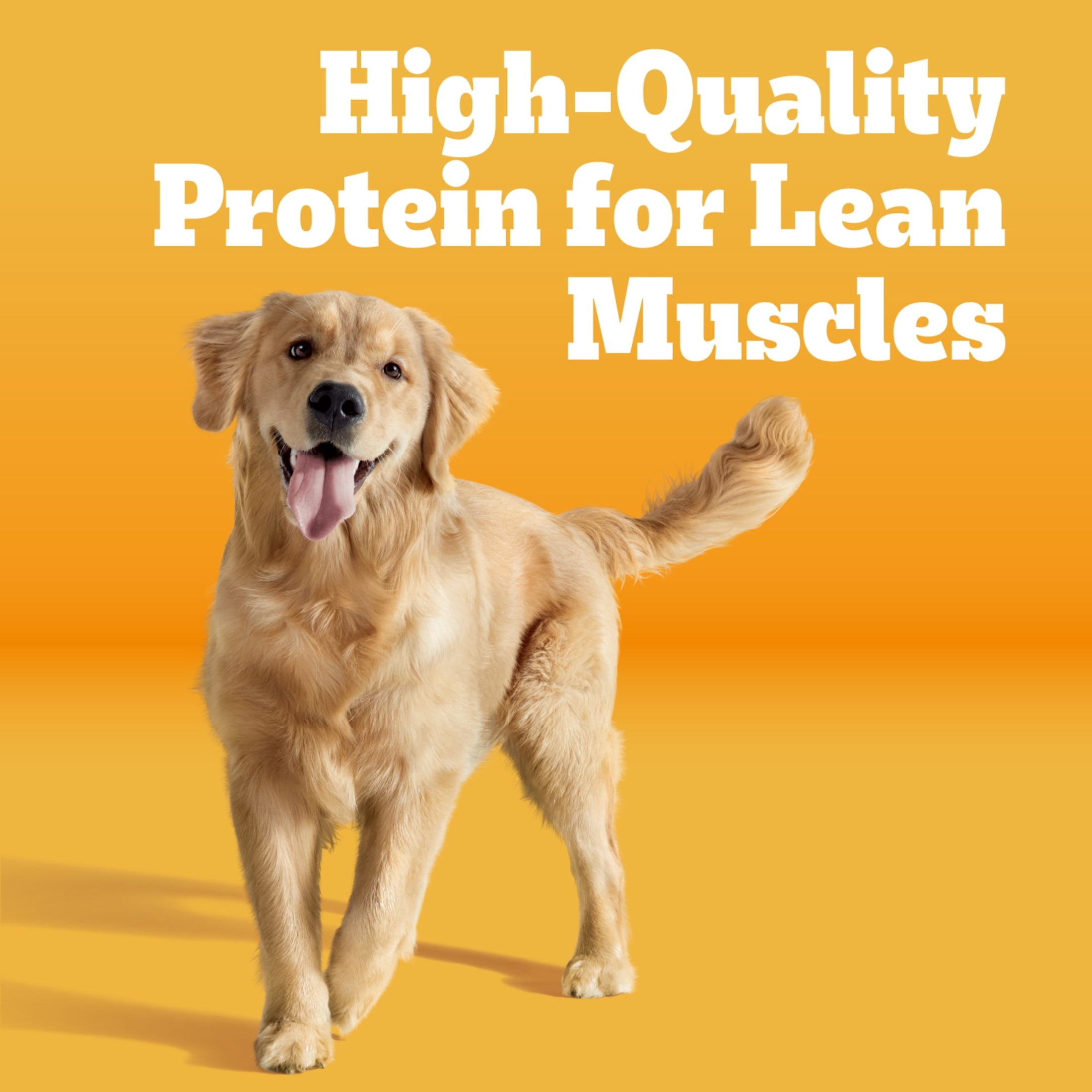 Pedigree Dry Dog Food for Adult Dogs - High Protein, Beef and Lamb Flavor, 3.5 lb. Bag