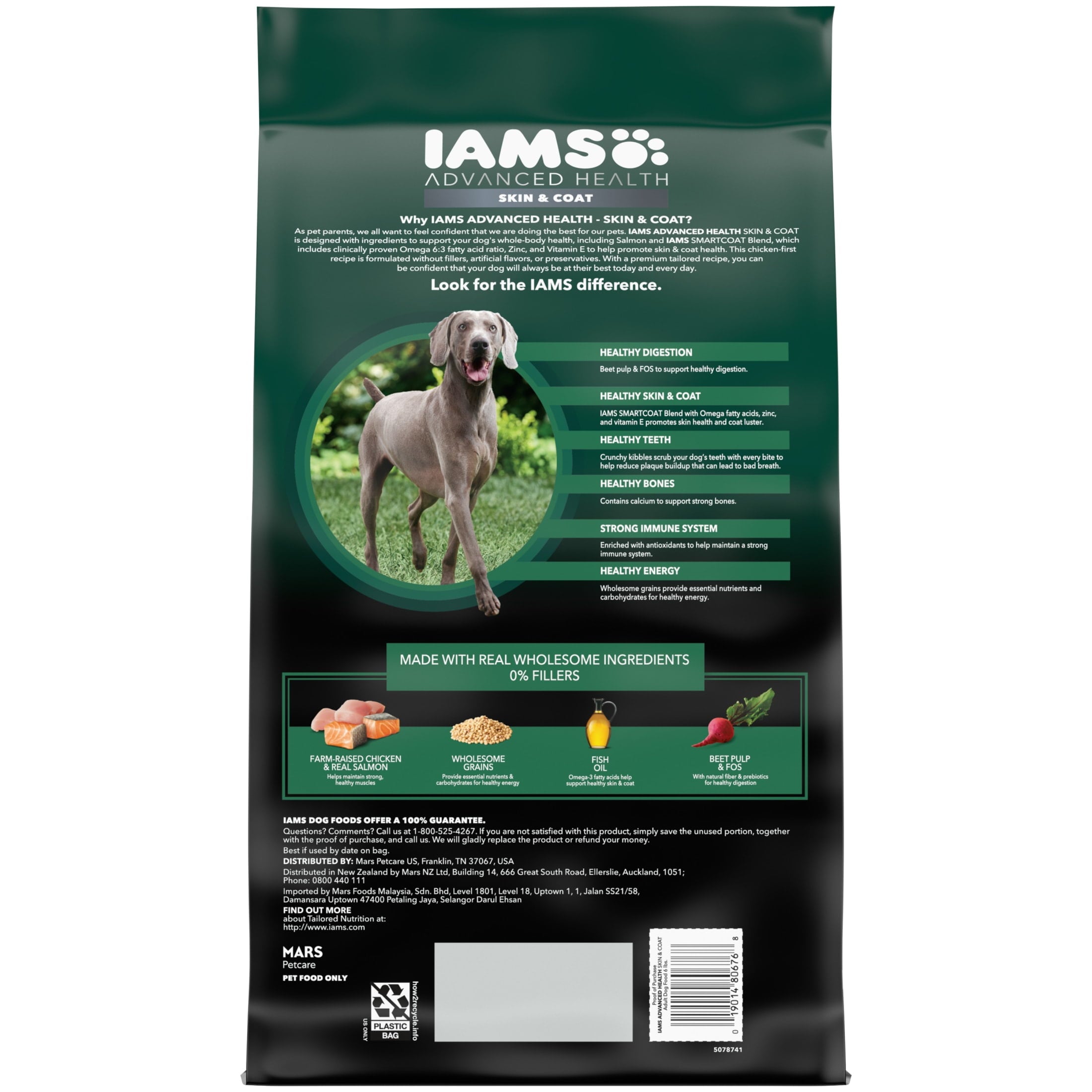 IAMS Advanced Health Skin & Coat Adult Dog Food Dry Chicken & Salmon Recipe - 6 lb