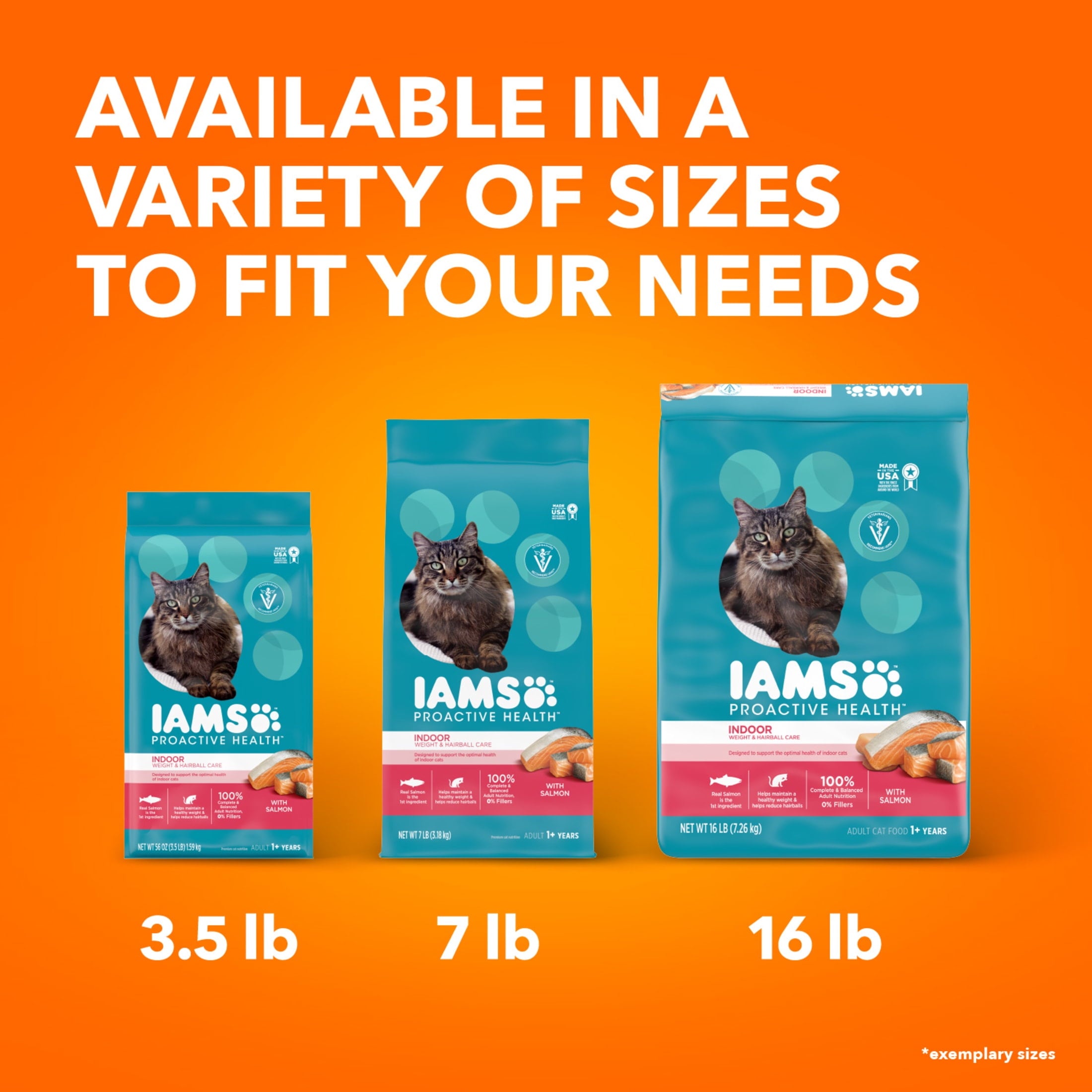 Iams Proactive Health Salmon Dry Cat Food - 7 Lb Bag