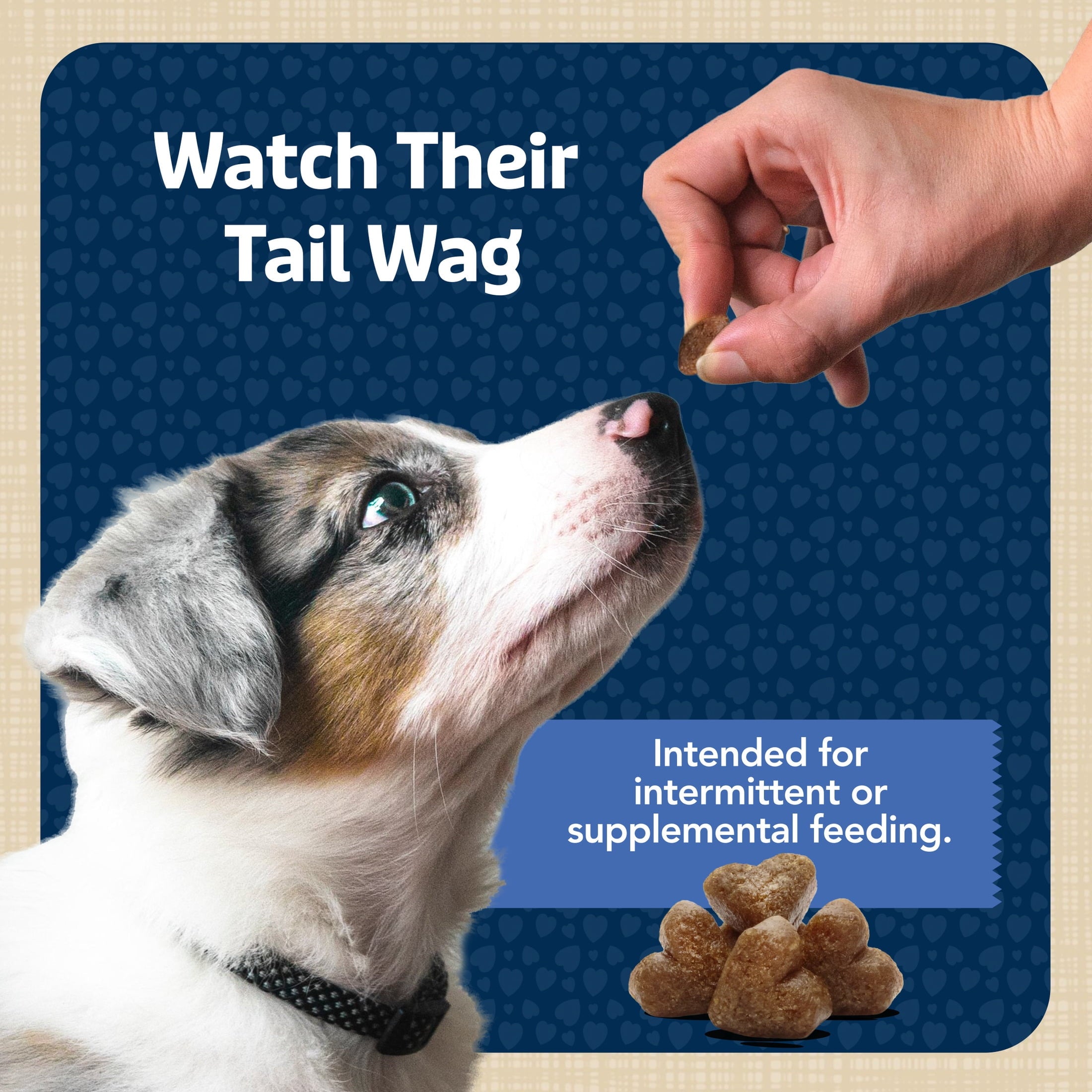 Blue Buffalo Bits Soft Dog Treats for Training - Enhanced with DHA, 19-oz. Bag