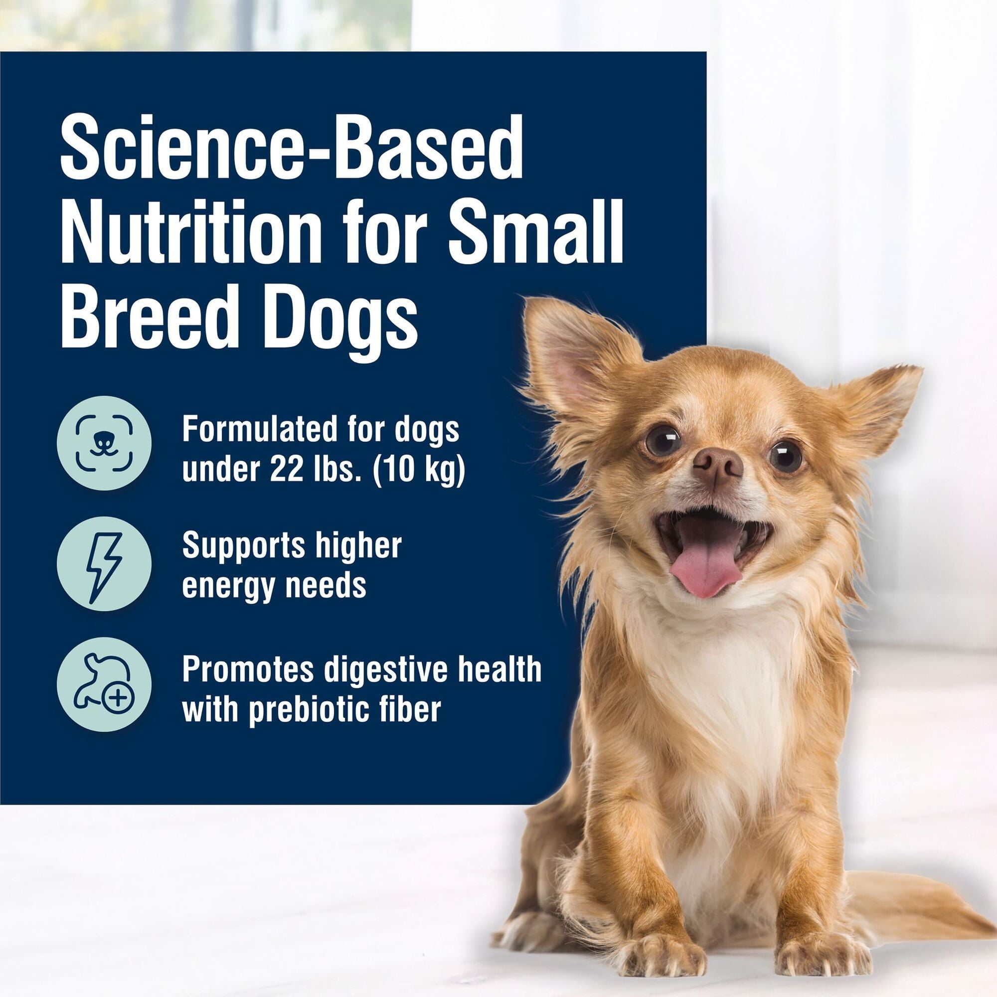 Blue Buffalo True Solutions Small & Mighty Small Breed Dry Dog Food - Chicken, 4-lb. Bag
