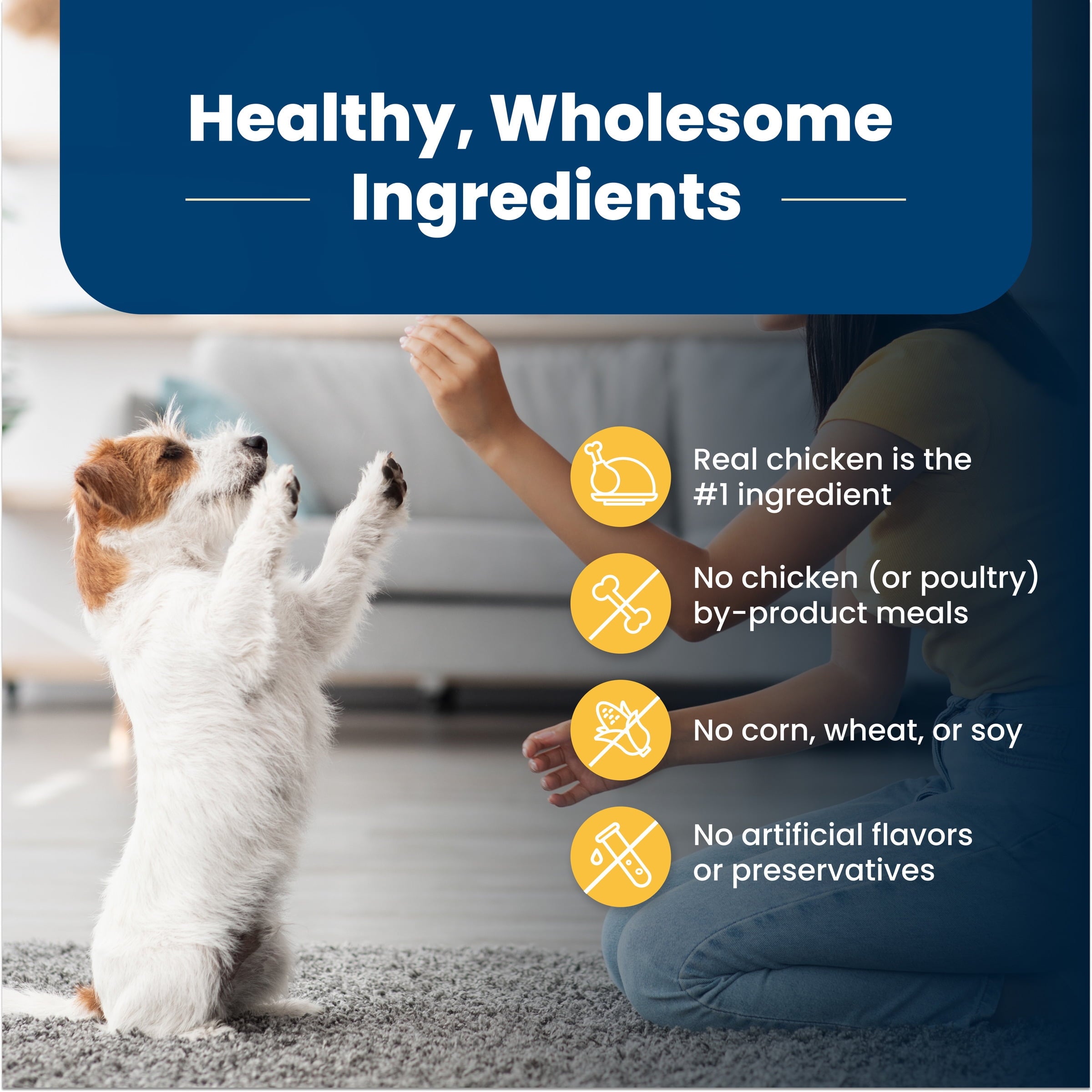 Blue Buffalo Life Protection Formula Adult Small Breed Healthy Weight Dry Dog Food - Chicken, 5 lbs.