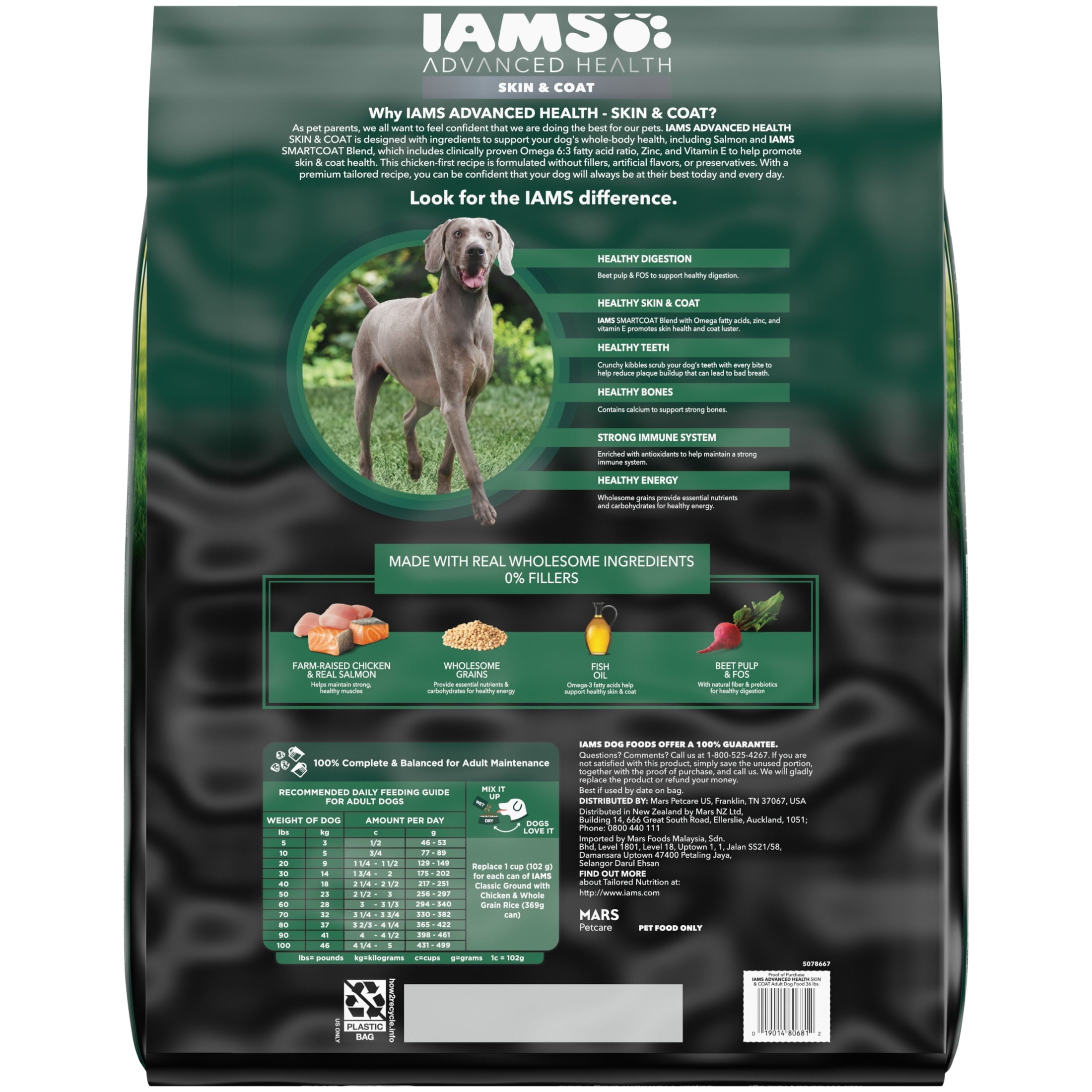 IAMS Advanced Health Skin & Coat Adult Dog Food Dry Chicken & Salmon Recipe - 36 lb. Bag