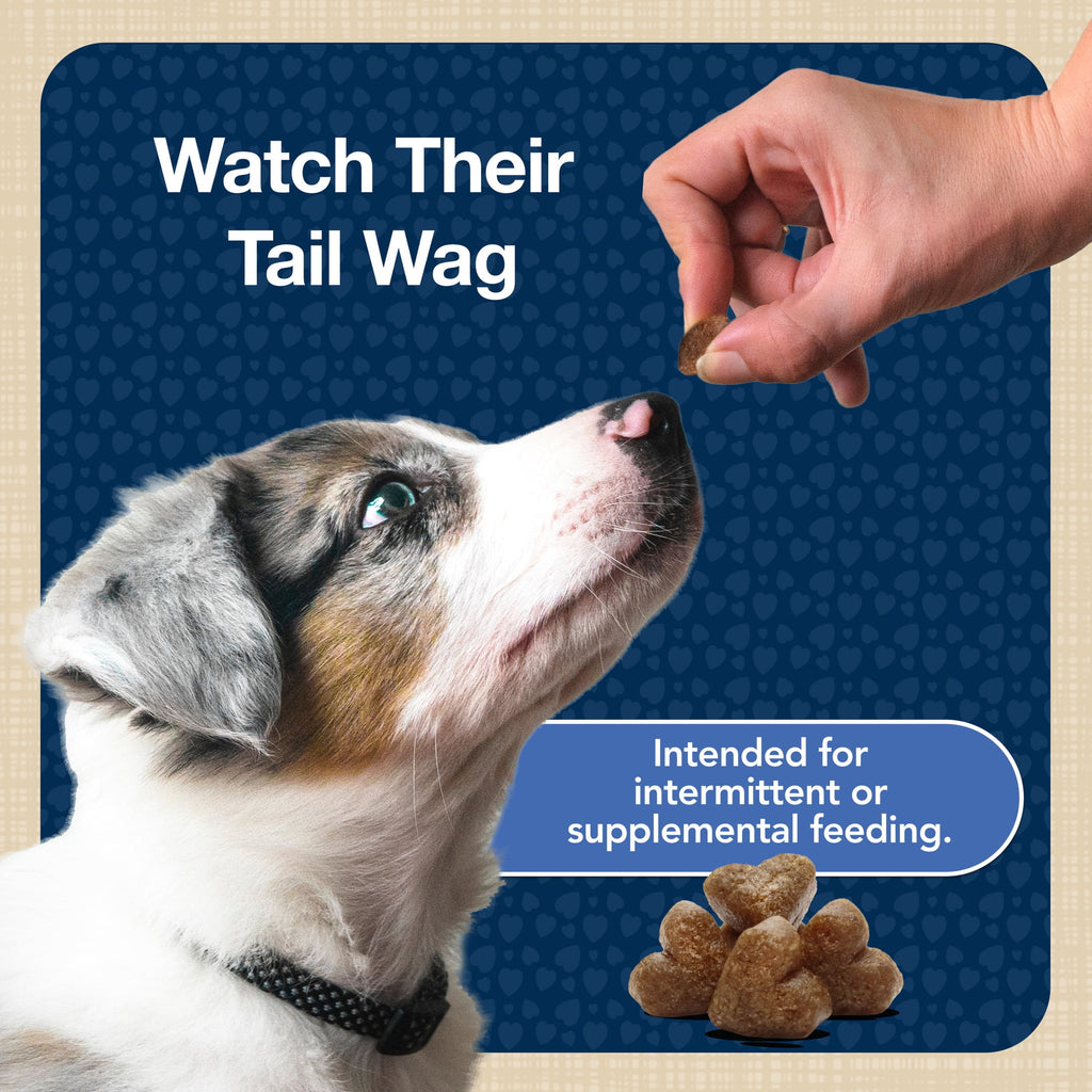 Blue Buffalo Bits Soft Dog Treats for Training - Enhanced with DHA, 11-oz. Bag