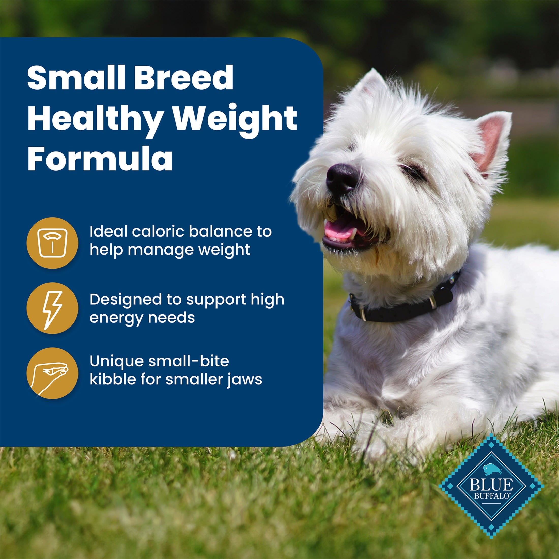 Blue Buffalo Life Protection Formula Adult Small Breed Healthy Weight Dry Dog Food 15 lbs.