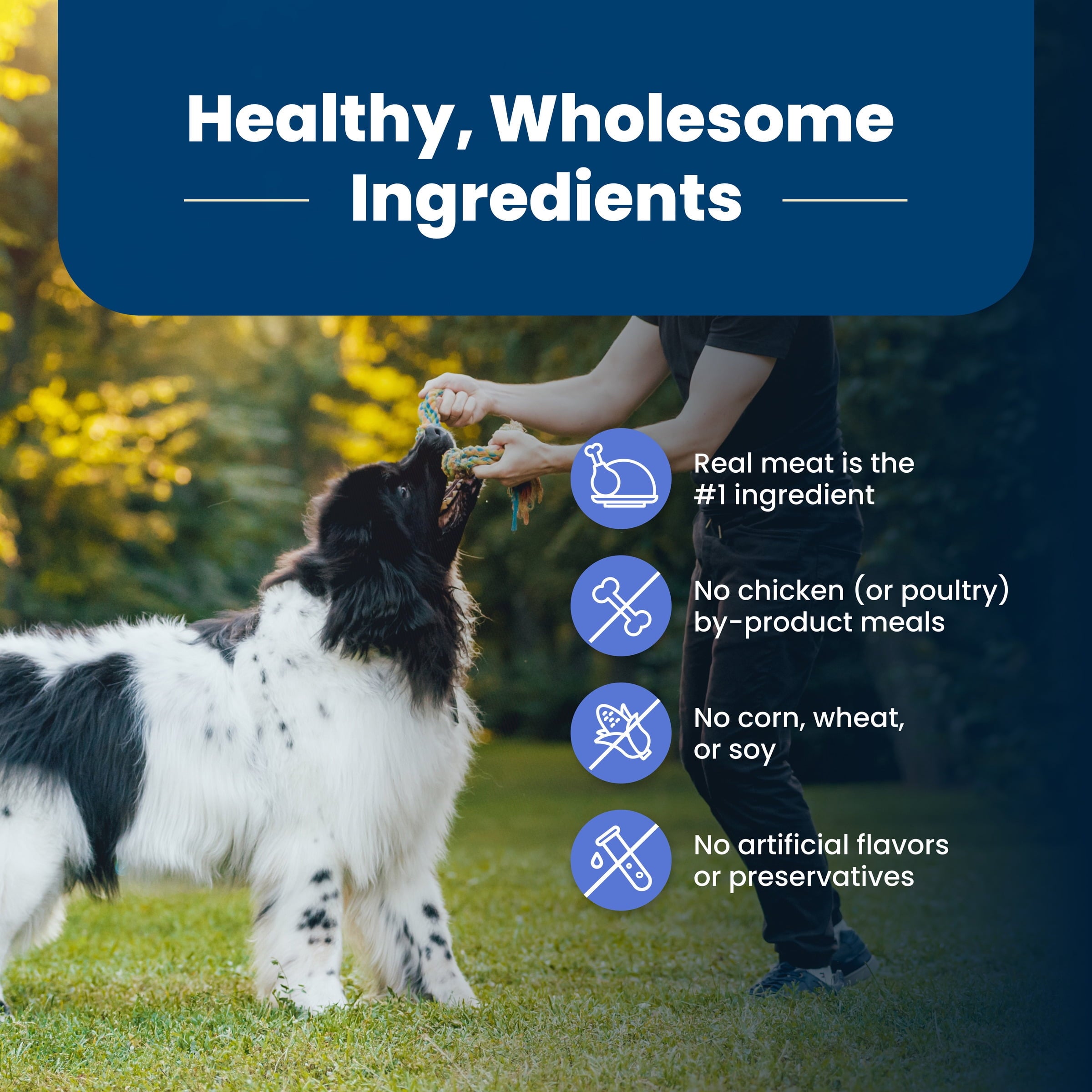 Blue Buffalo Life Protection Formula Weight Control Large Breed Dog Food - Chicken, 34lbs.