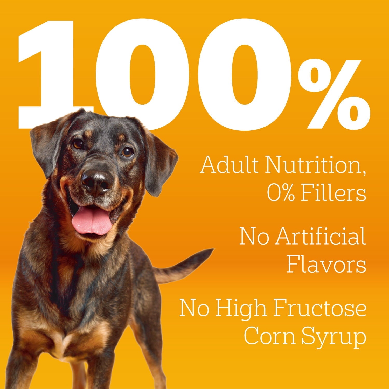 Pedigree High Protein Roasted Lamb & Vegetable Flavor Adult Dry Dog Food - 40 lb Bag
