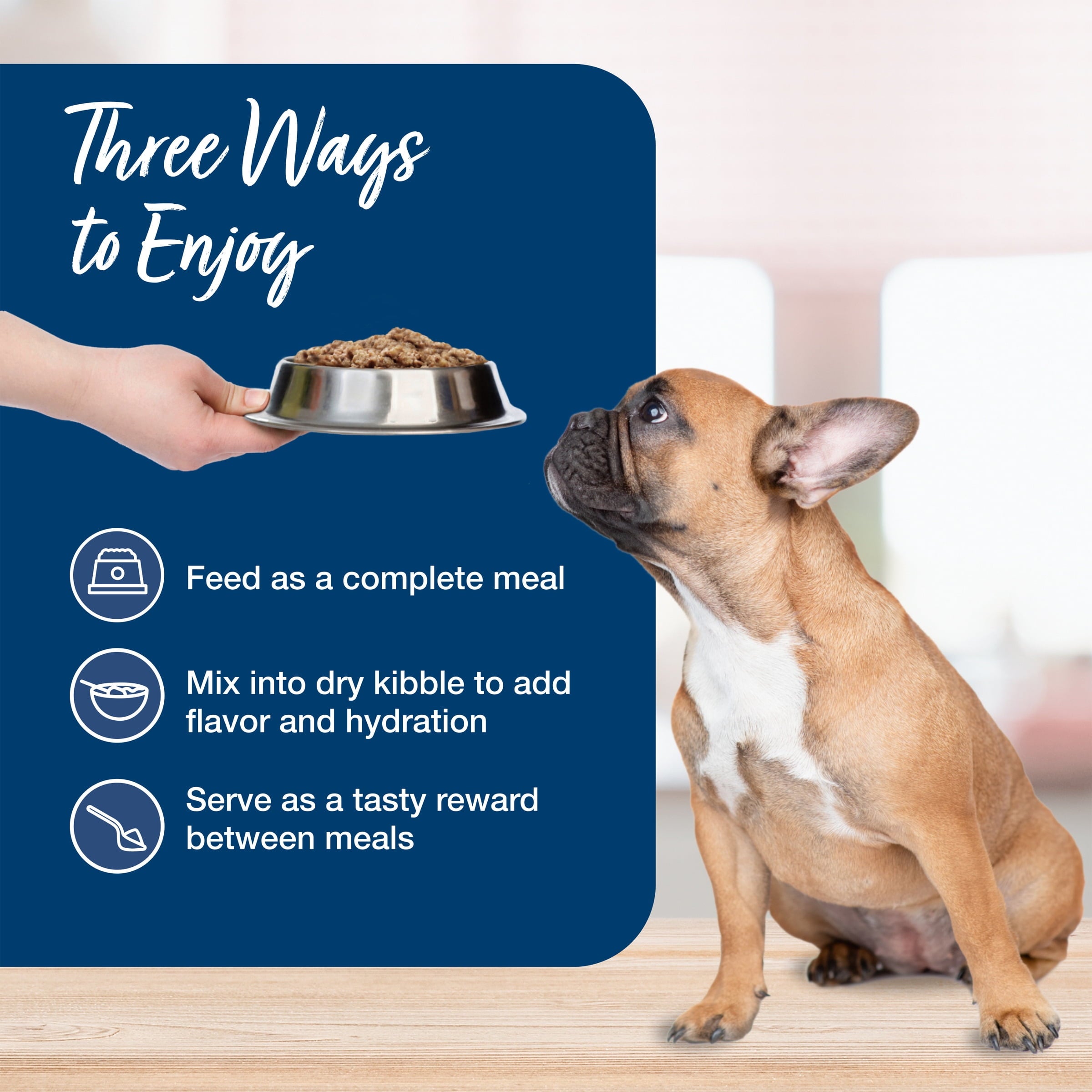 Blue Buffalo Blue's Stew Natural Wet Dog Food - Country Chicken Stew, 12.5-oz. Can