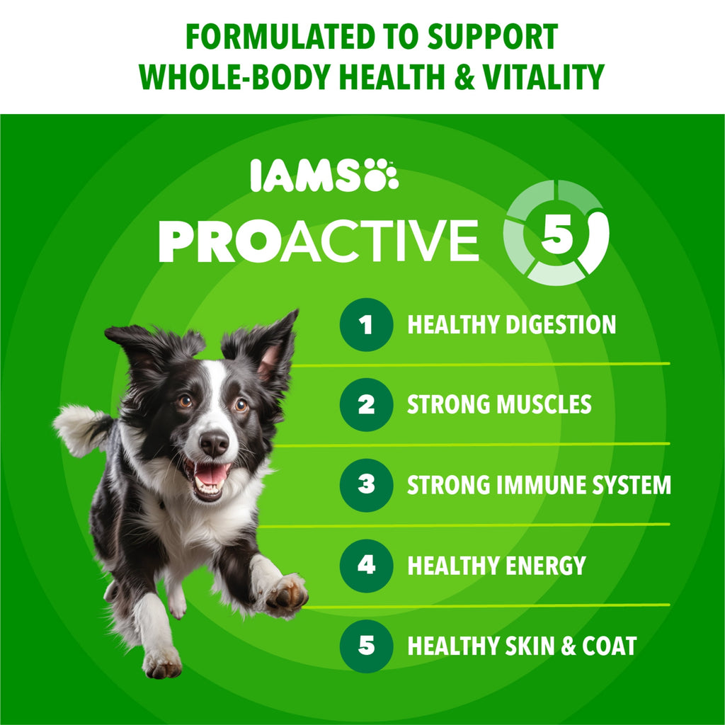 IAMS Proactive Health Adult Minichunks Dog Food Dry Recipe - 3.3 lb.