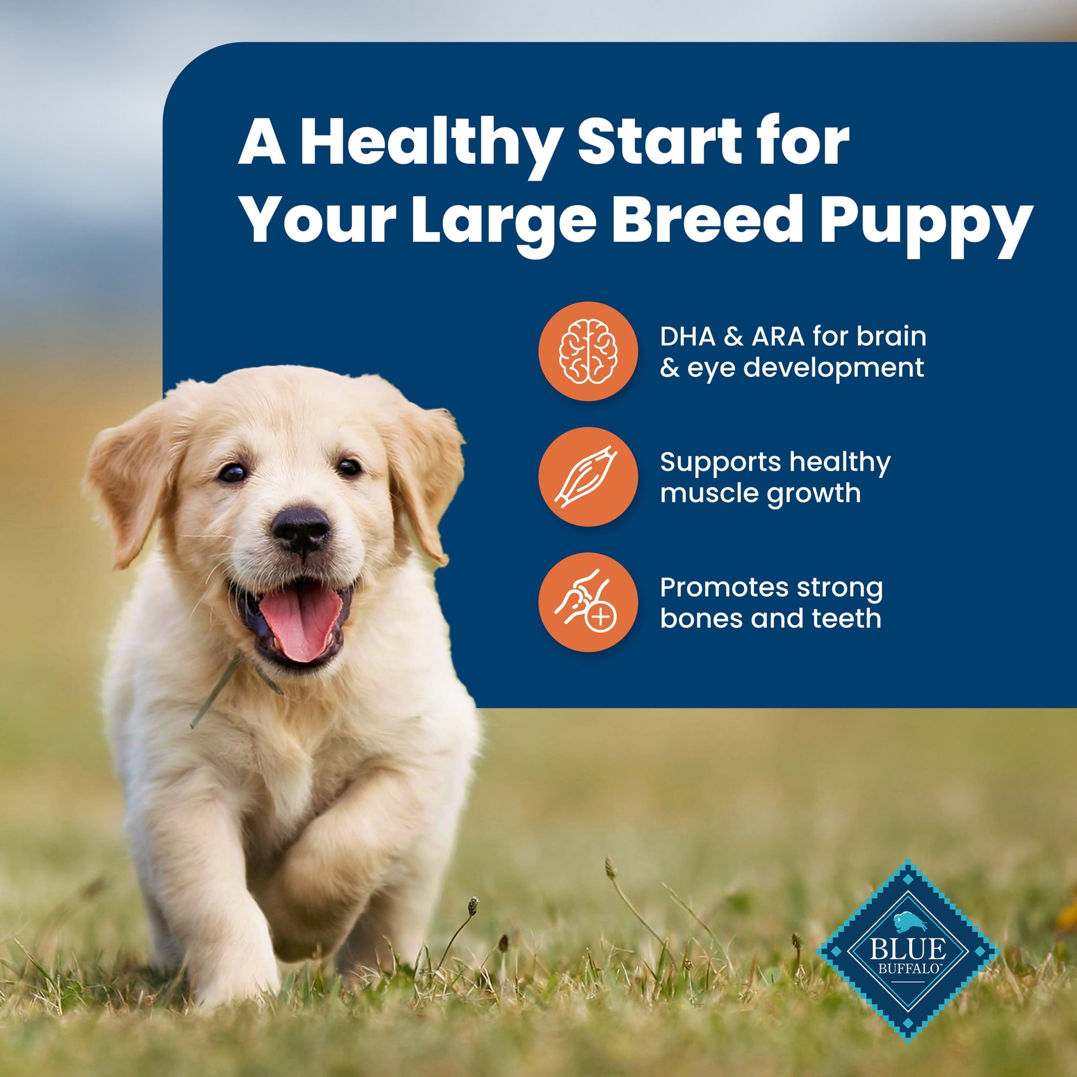 Blue Buffalo Life Protection Formula Large Breed Dry Puppy Food - Chicken & Rice, 15 lbs.