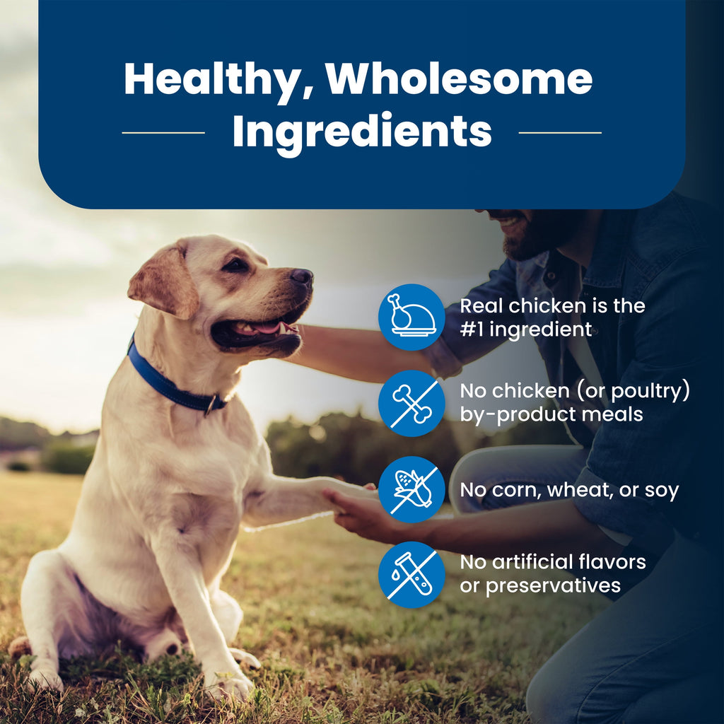 Blue Buffalo Life Protection Formula Senior Dry Dog Food - Chicken & Brown Rice, 5lbs.