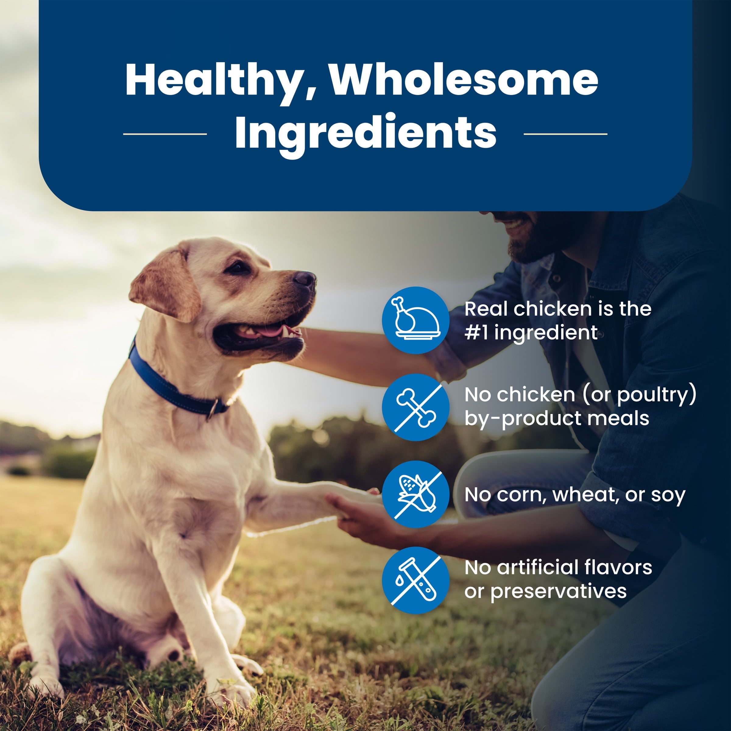 Blue Buffalo Life Protection Formula Senior Dry Dog Food - Chicken & Brown Rice, 5lbs.