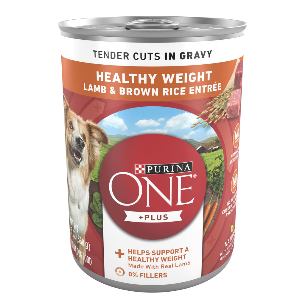 Purina ONE PLUS Natural Wet Dog Food - High Protein Soft Lamb & Brown Rice, 13 oz Can - 6-Pack