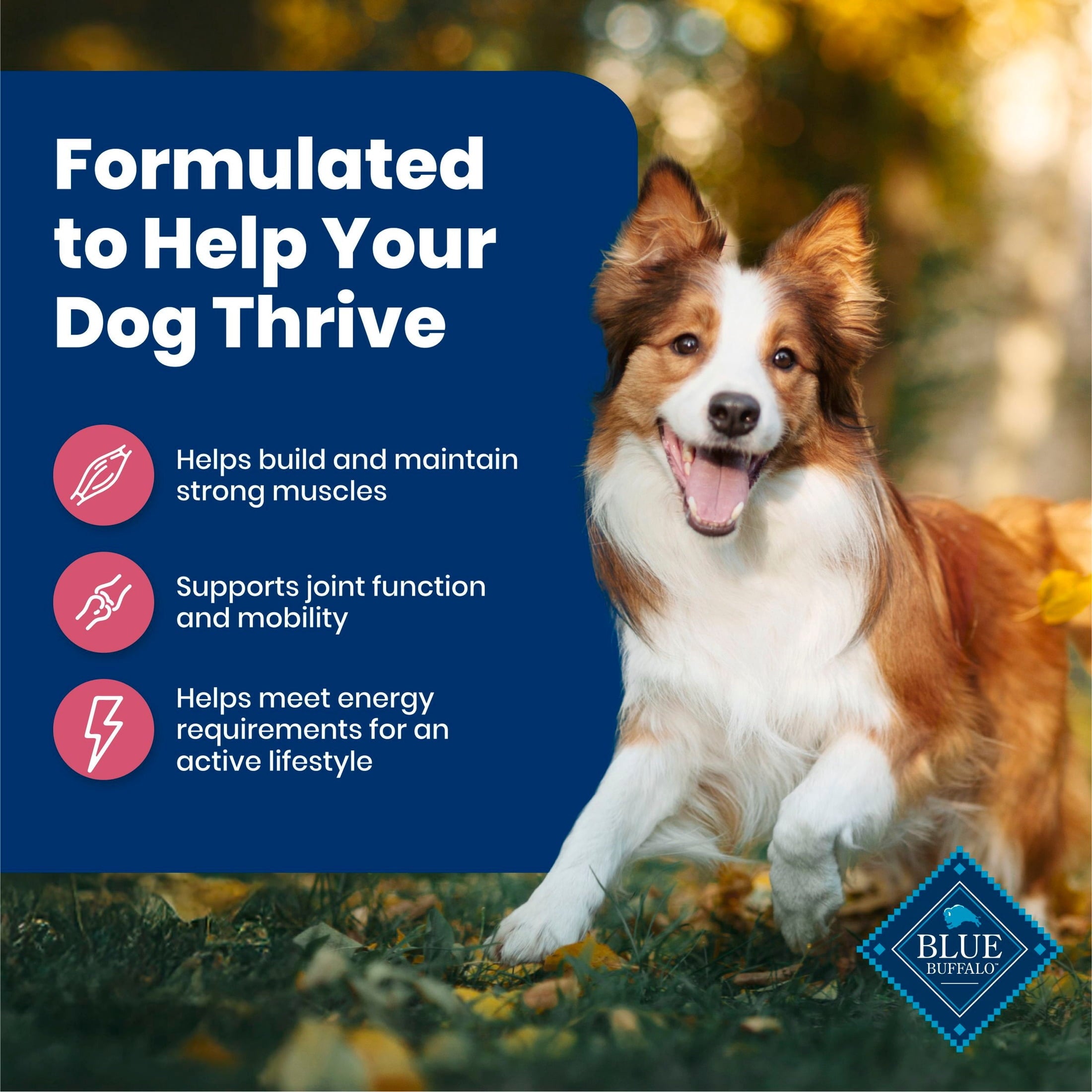 Blue Buffalo Life Protection Formula Adult Dry Dog Food - Salmon, Chicken Free, 15lbs