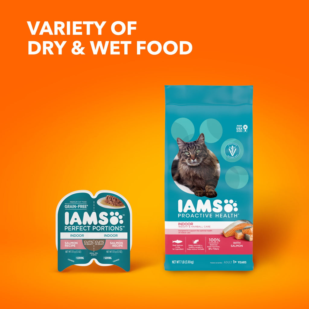 Iams Proactive Health Salmon Dry Cat Food - 7 Lb Bag