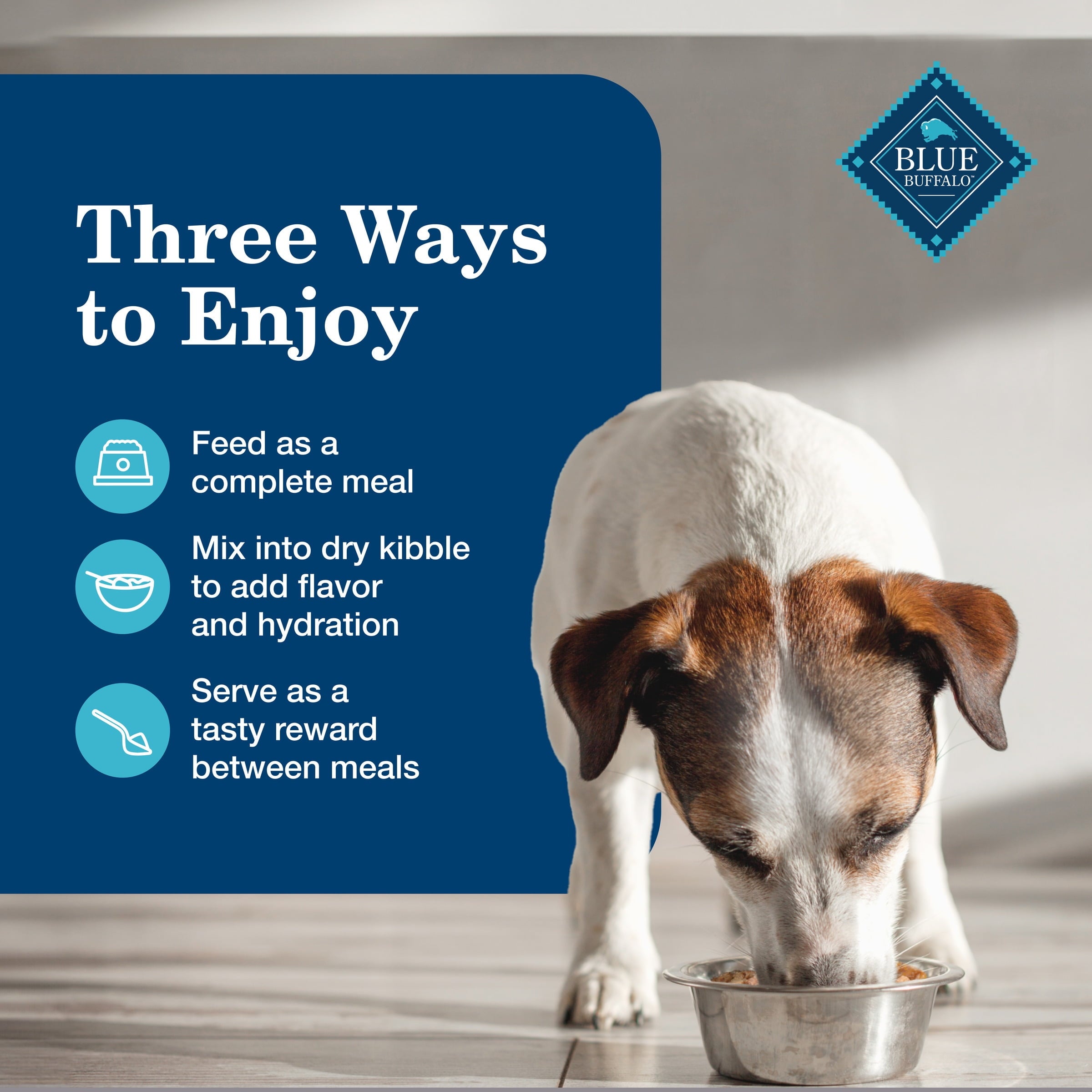 Blue Buffalo Homestyle Recipe Senior Wet Dog Food - Chicken Dinner, 12.5-oz. Can